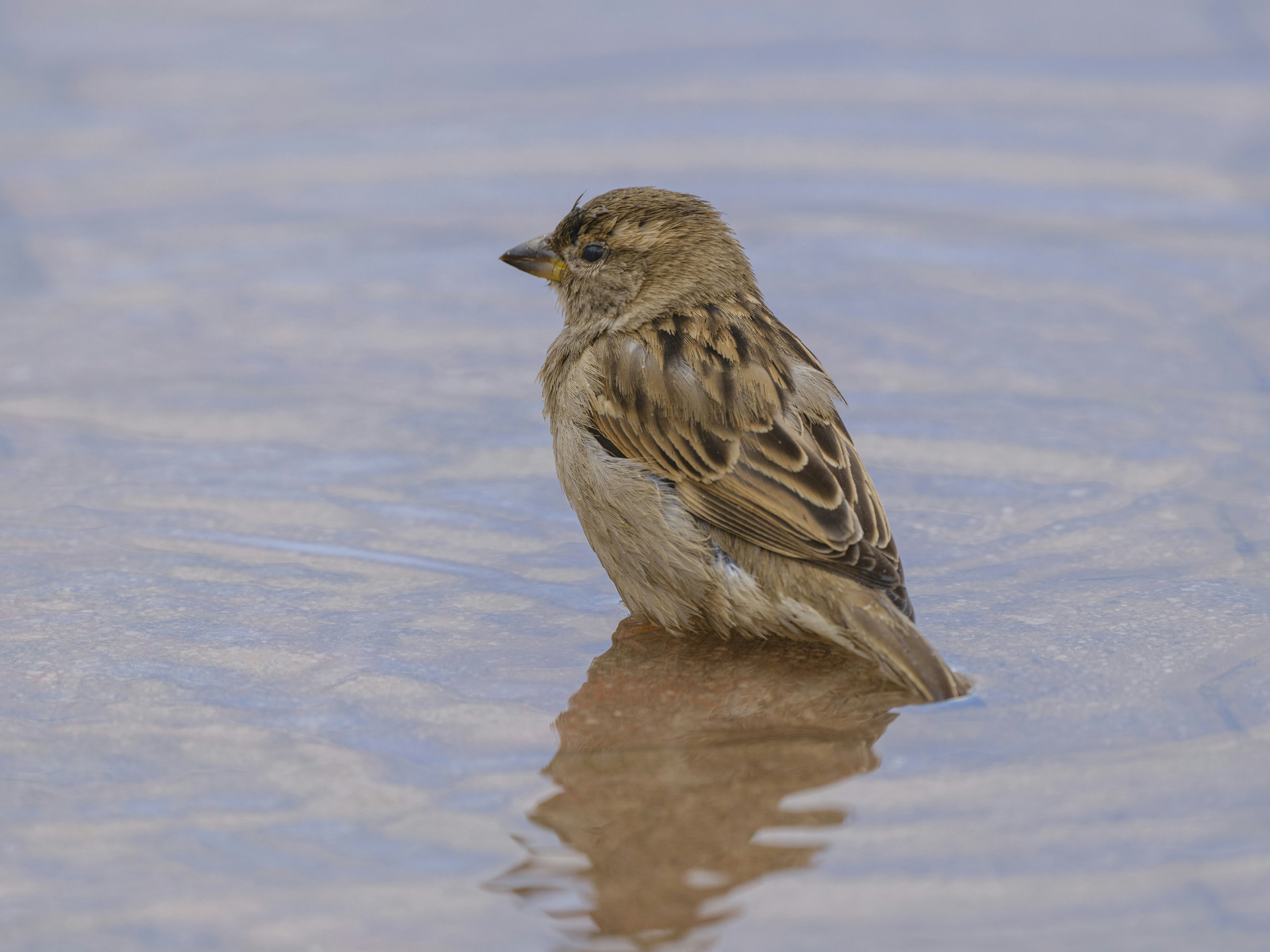 Photo by enginakyurt