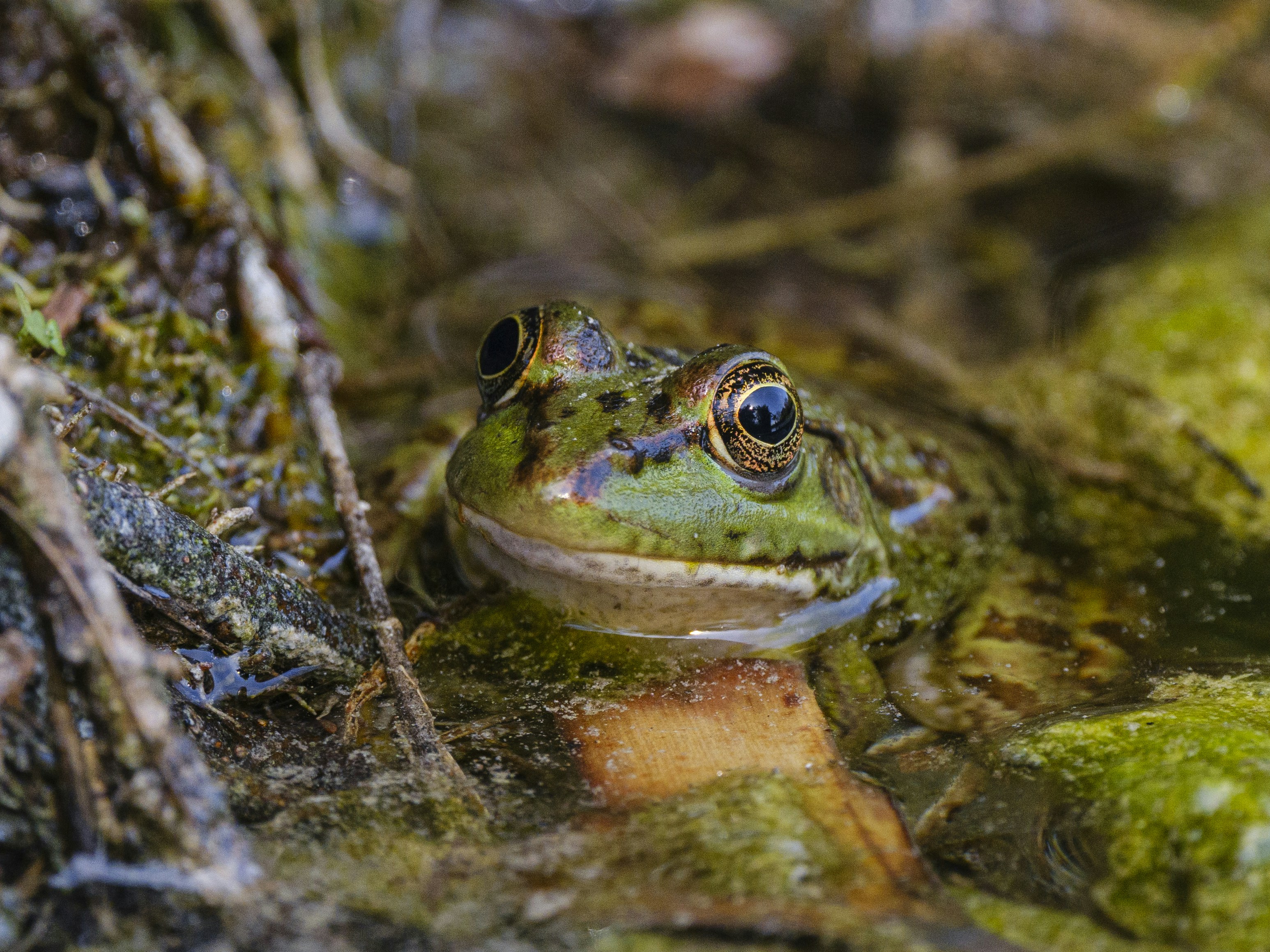 Photo by enginakyurt
