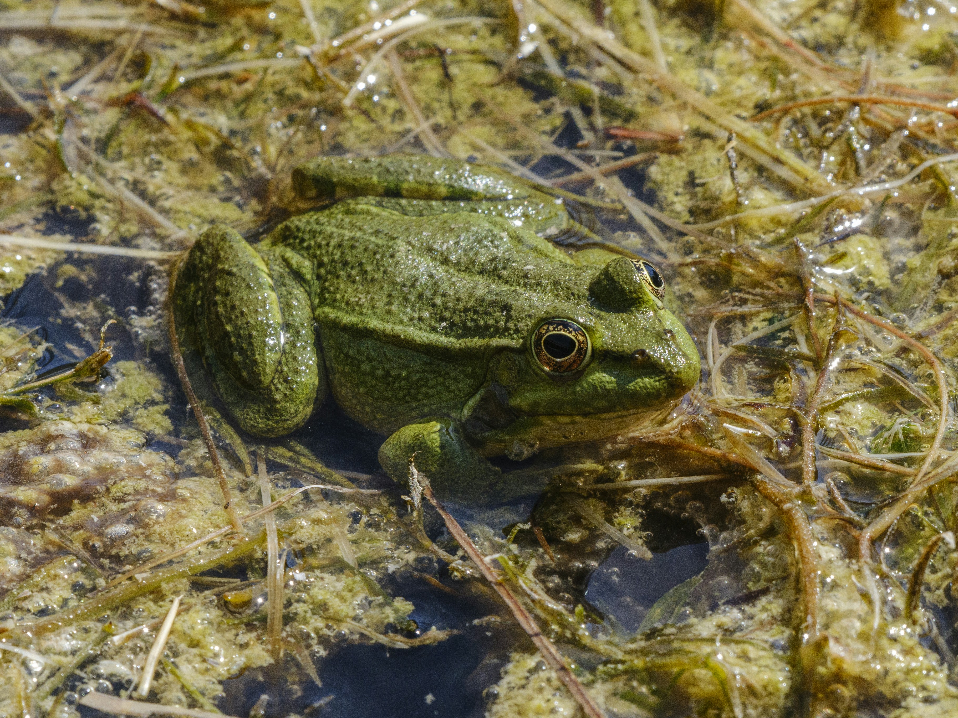 Photo by enginakyurt