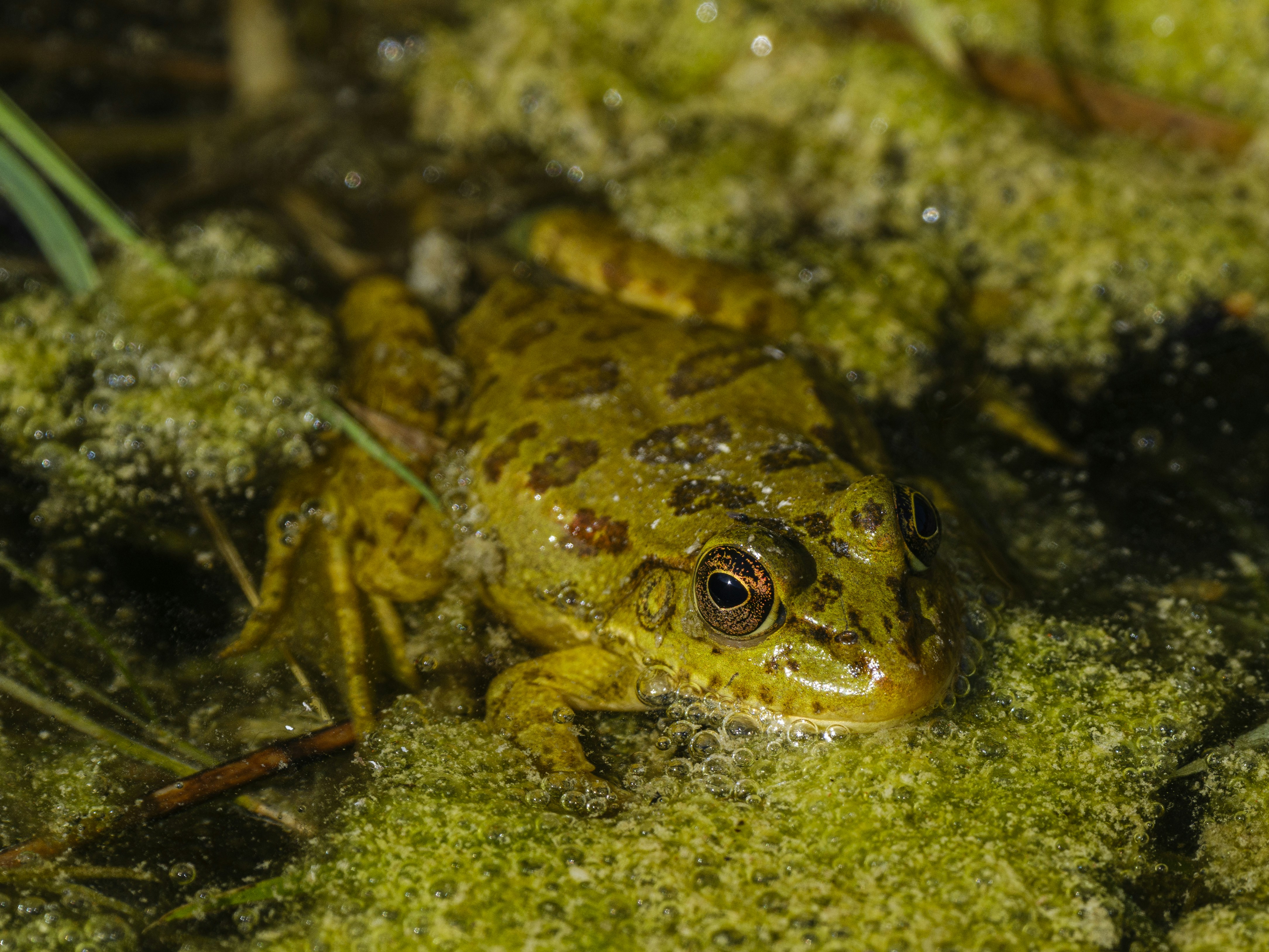 Photo by enginakyurt