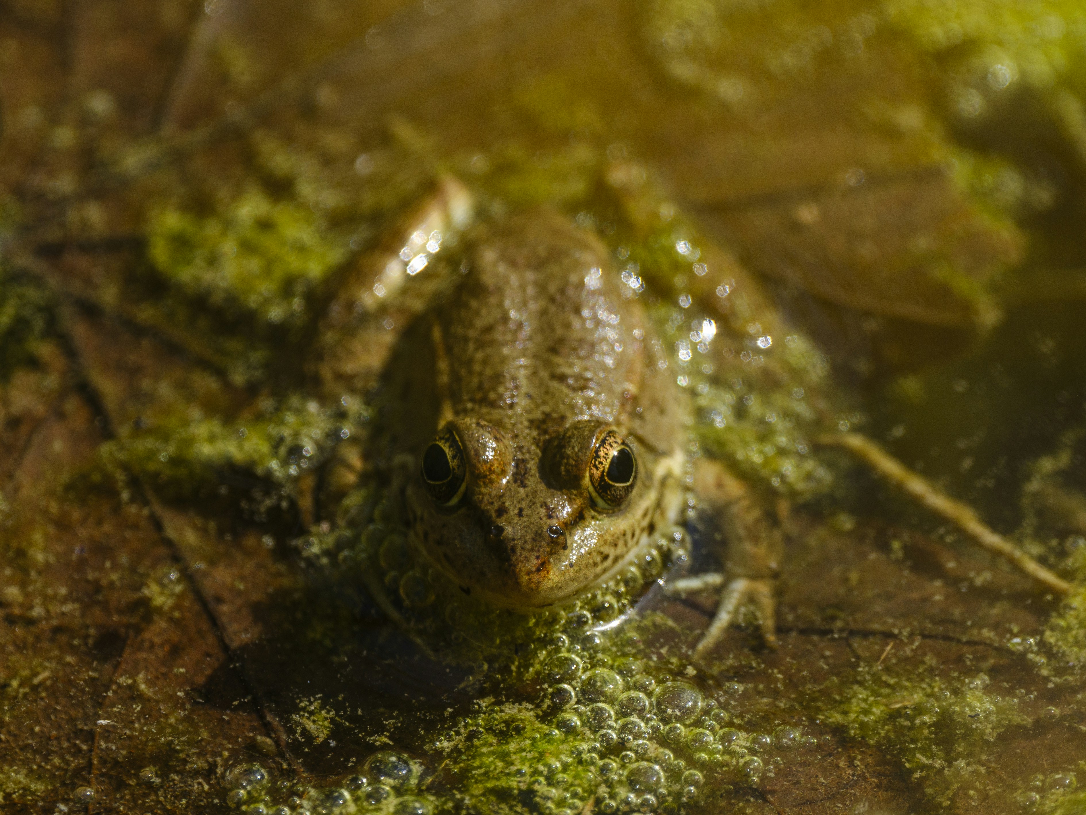 Photo by enginakyurt