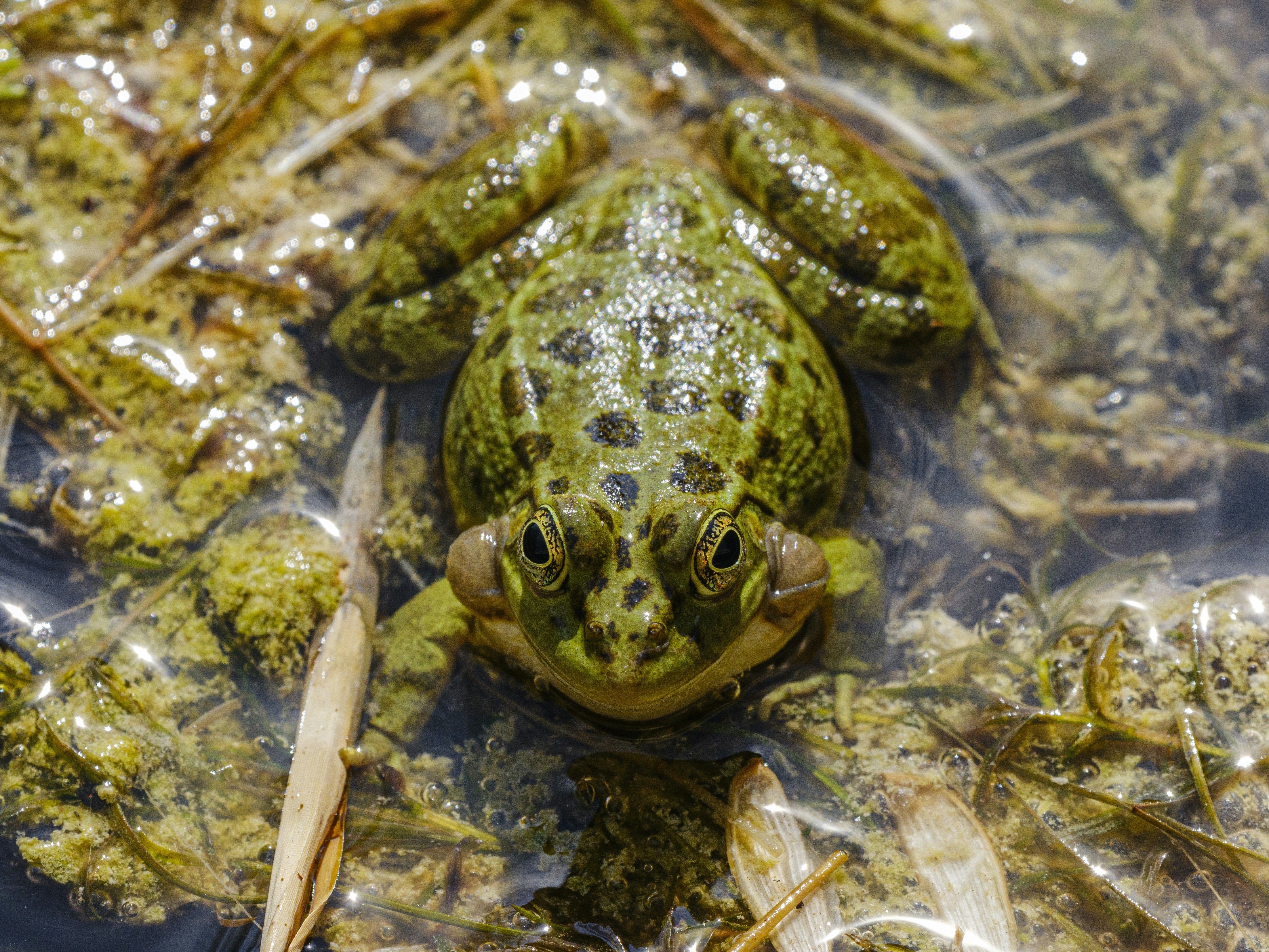 Photo by enginakyurt