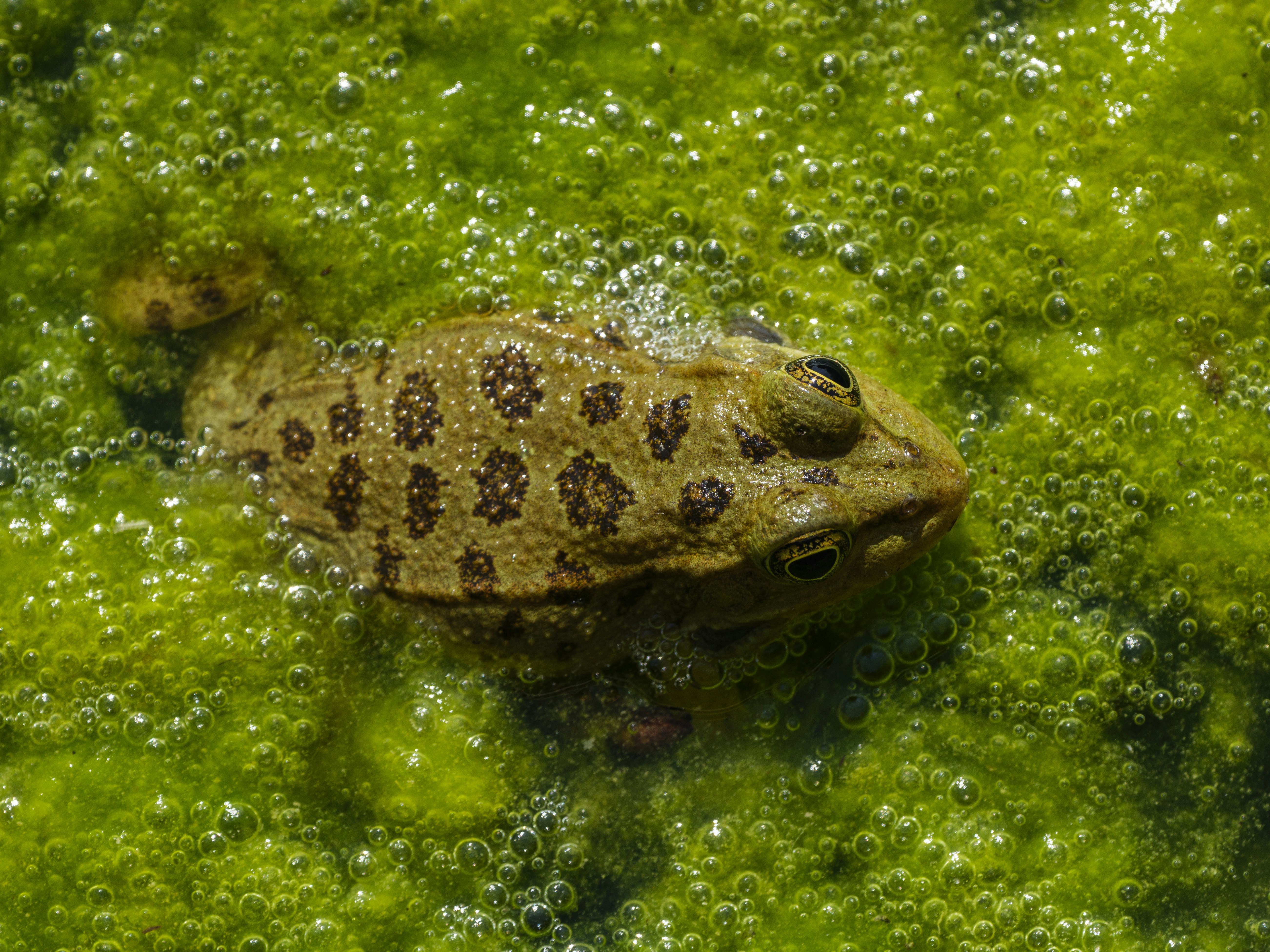 Photo by enginakyurt