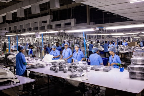 Workers in a factory sort and package items.