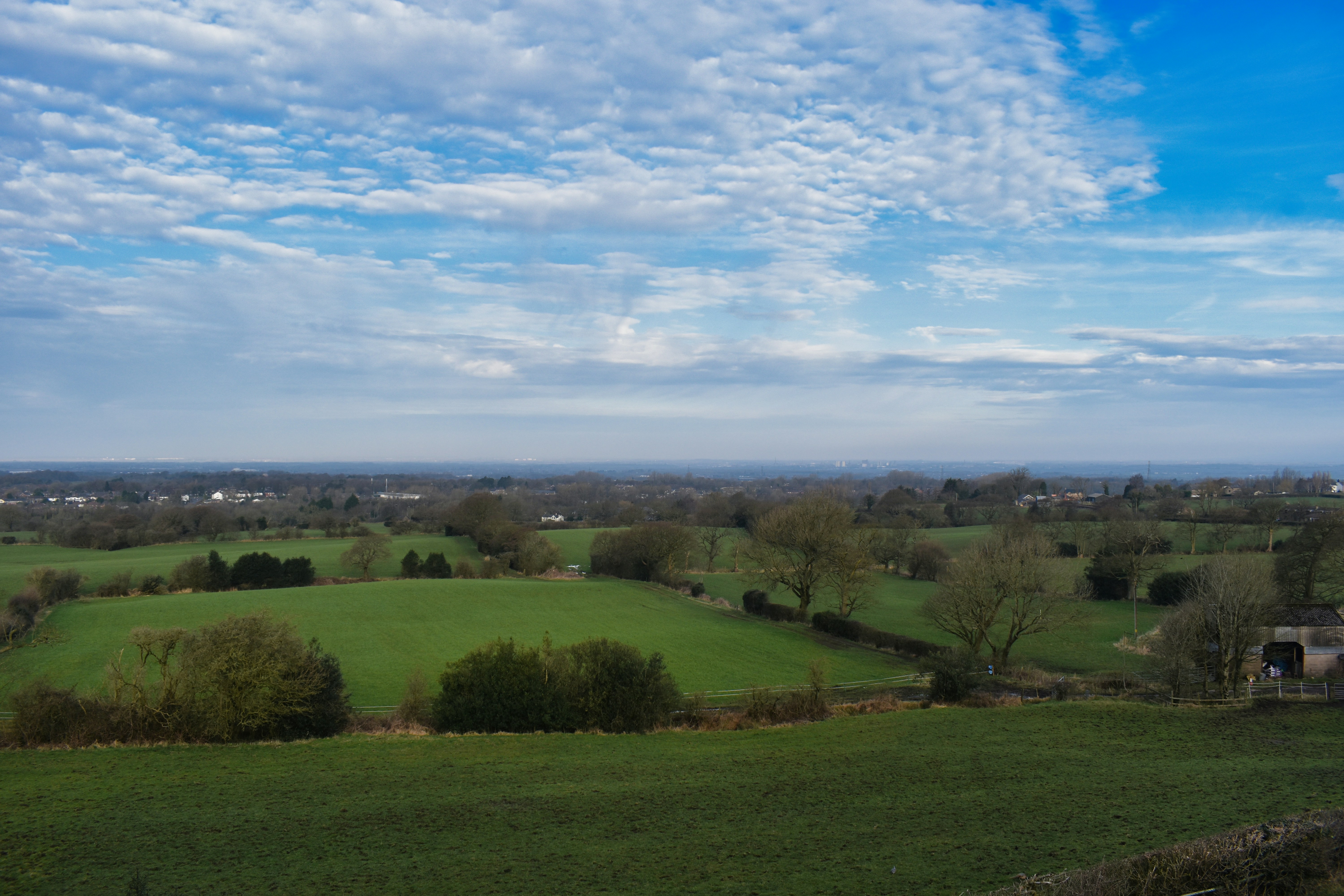 Los campos verdes se extienden bajo un hermoso cielo.