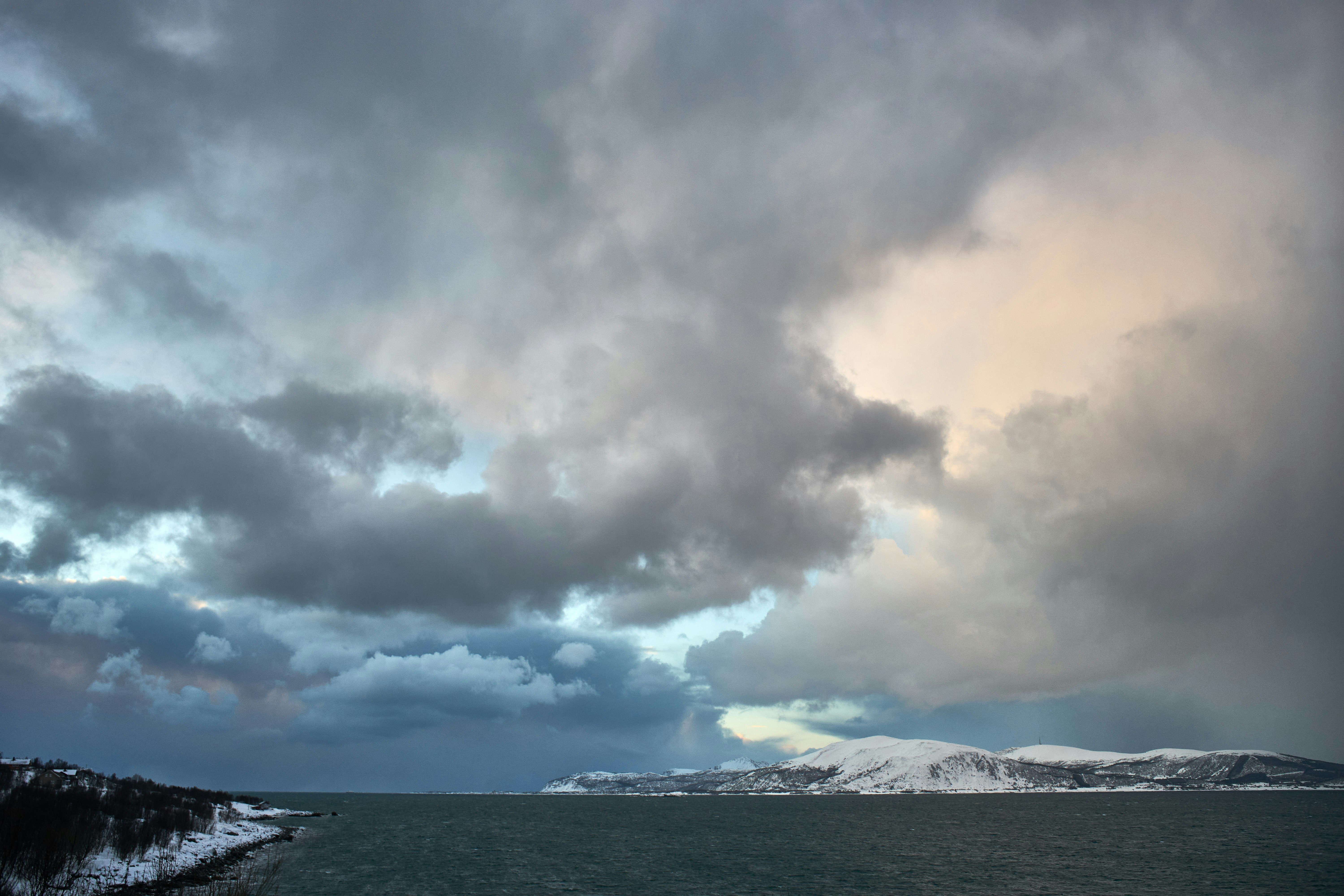 Photo by wolfgang_hasselmann