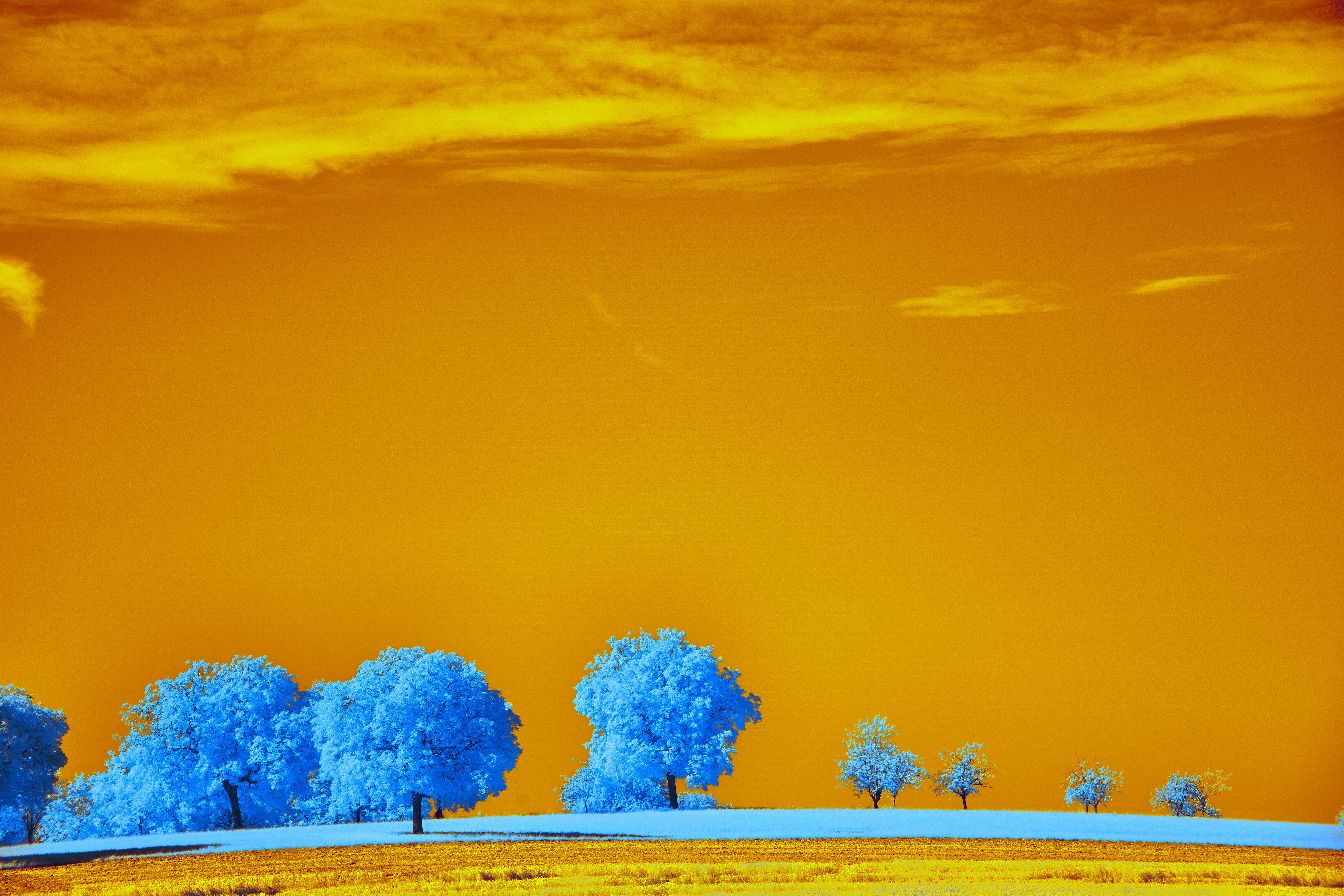 Photo by wolfgang_hasselmann