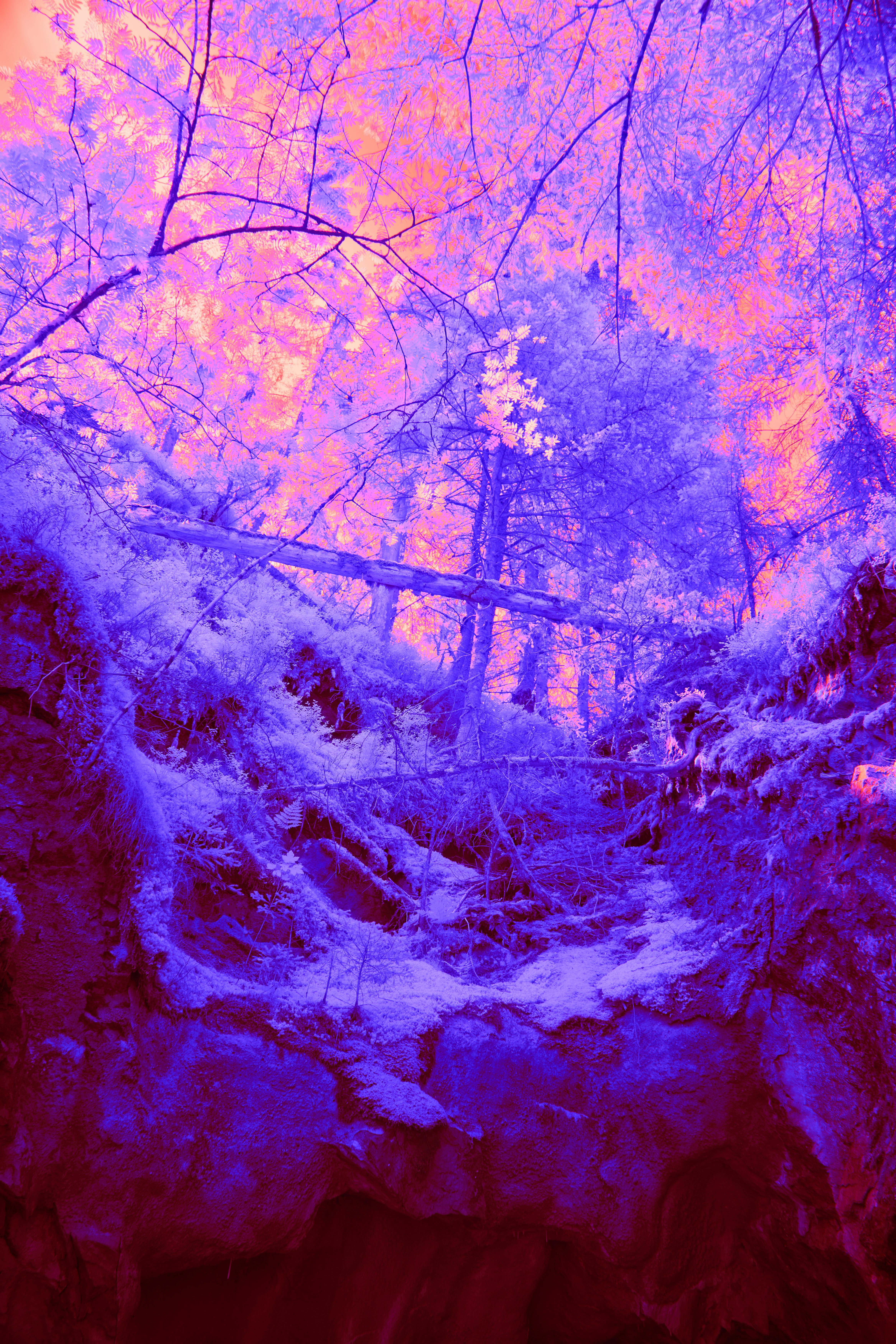 Photo by wolfgang_hasselmann