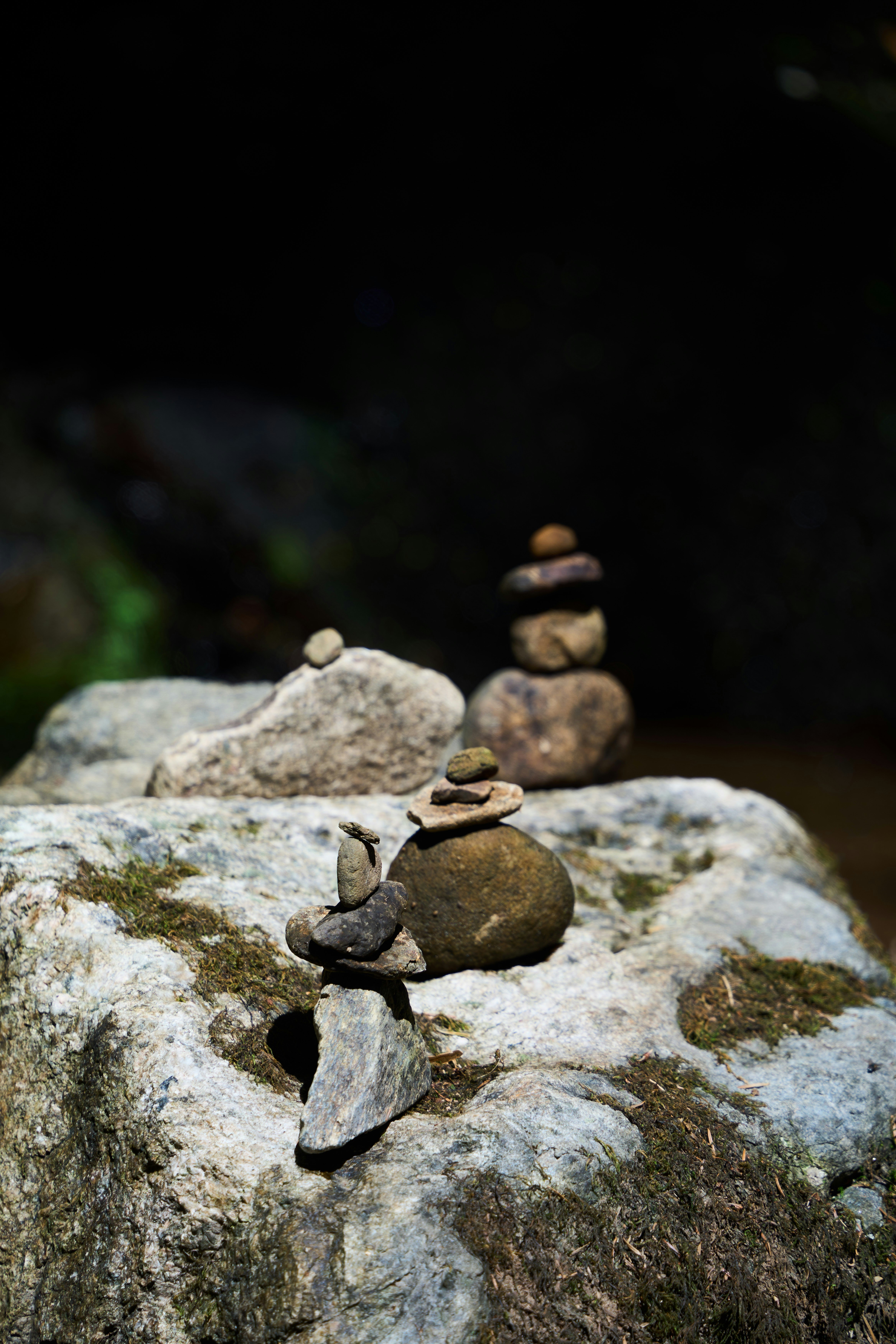 Photo by wolfgang_hasselmann