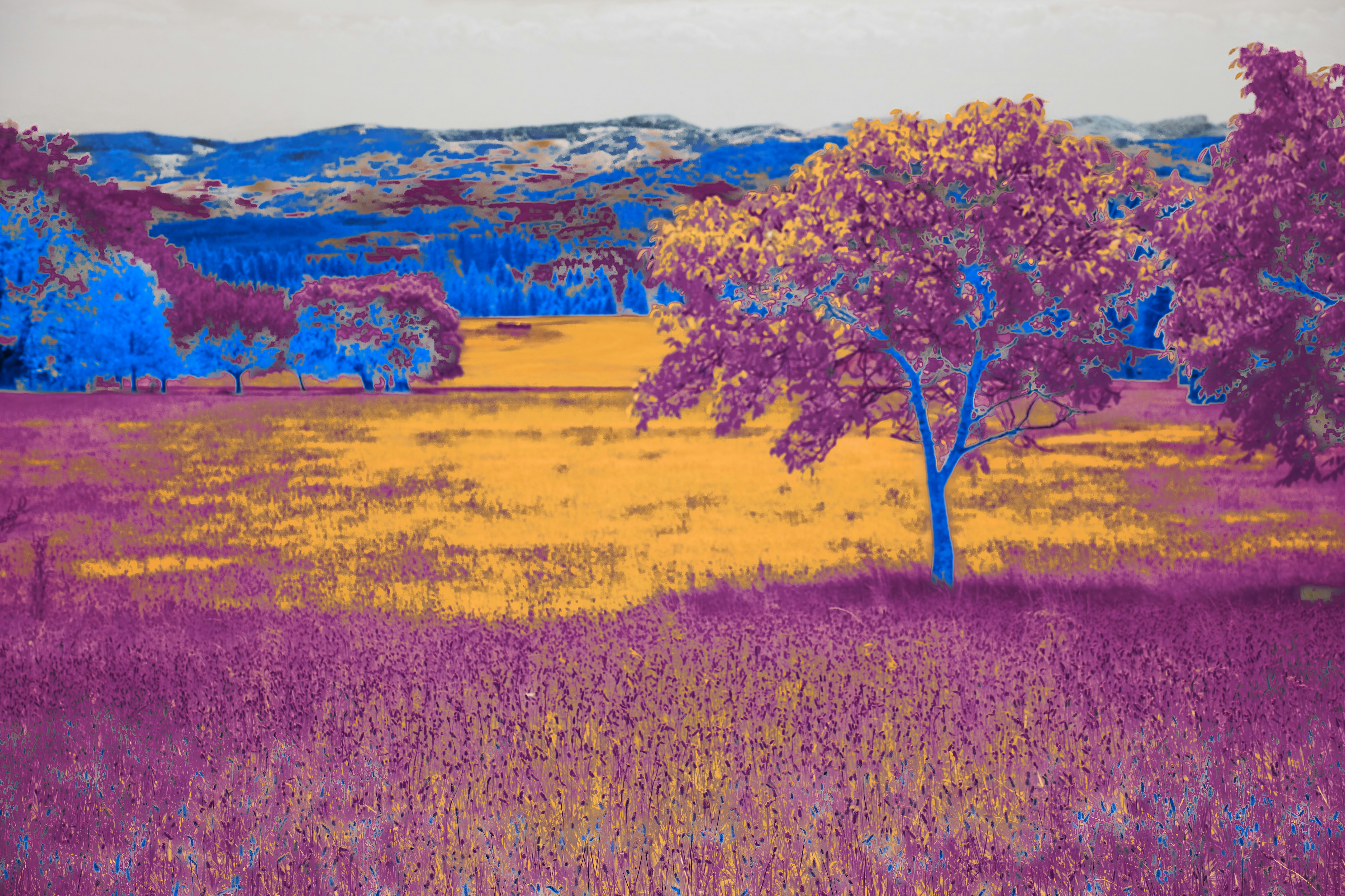 Vibrant AI generated digital art landscape rich colors