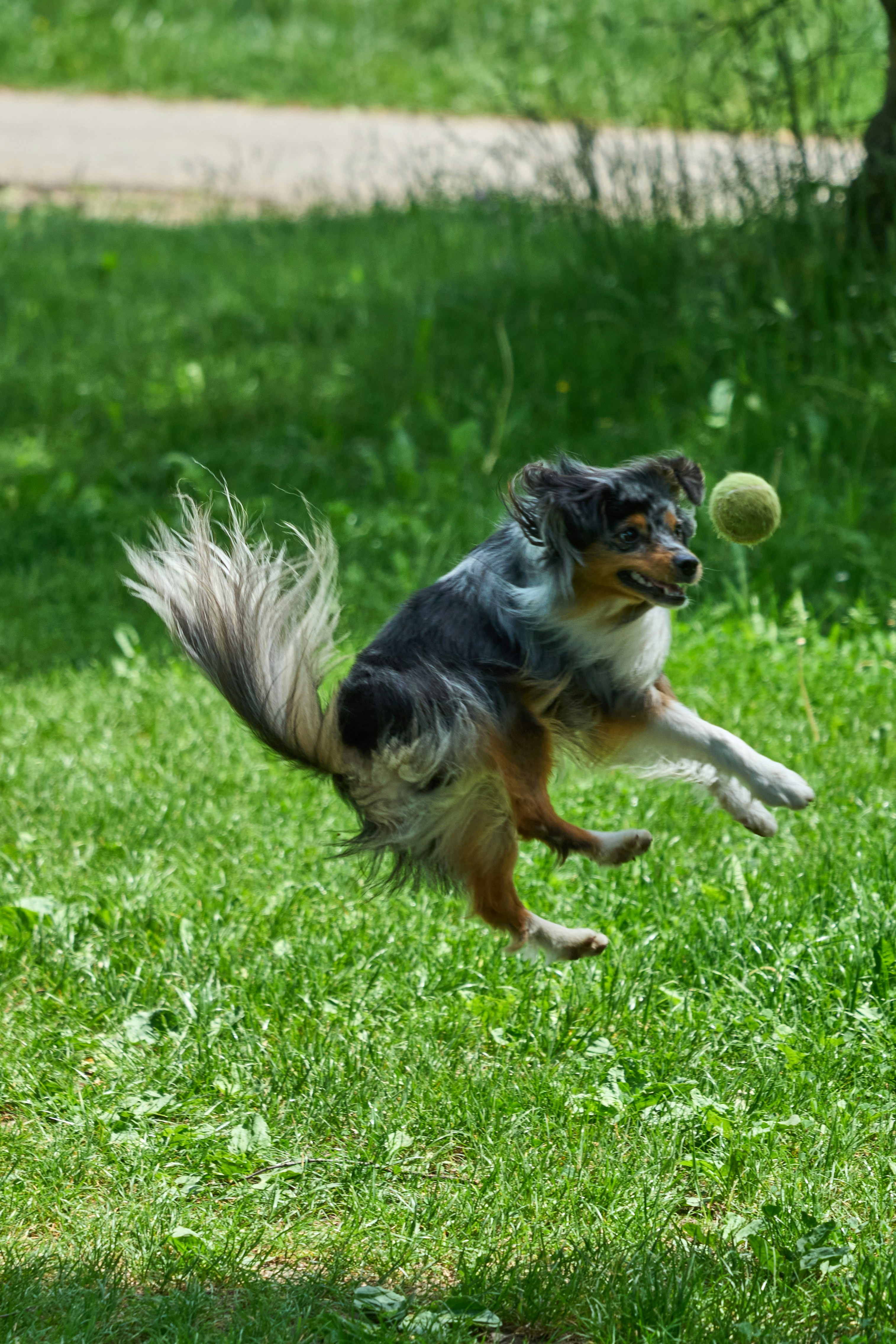 Photo by wolfgang_hasselmann