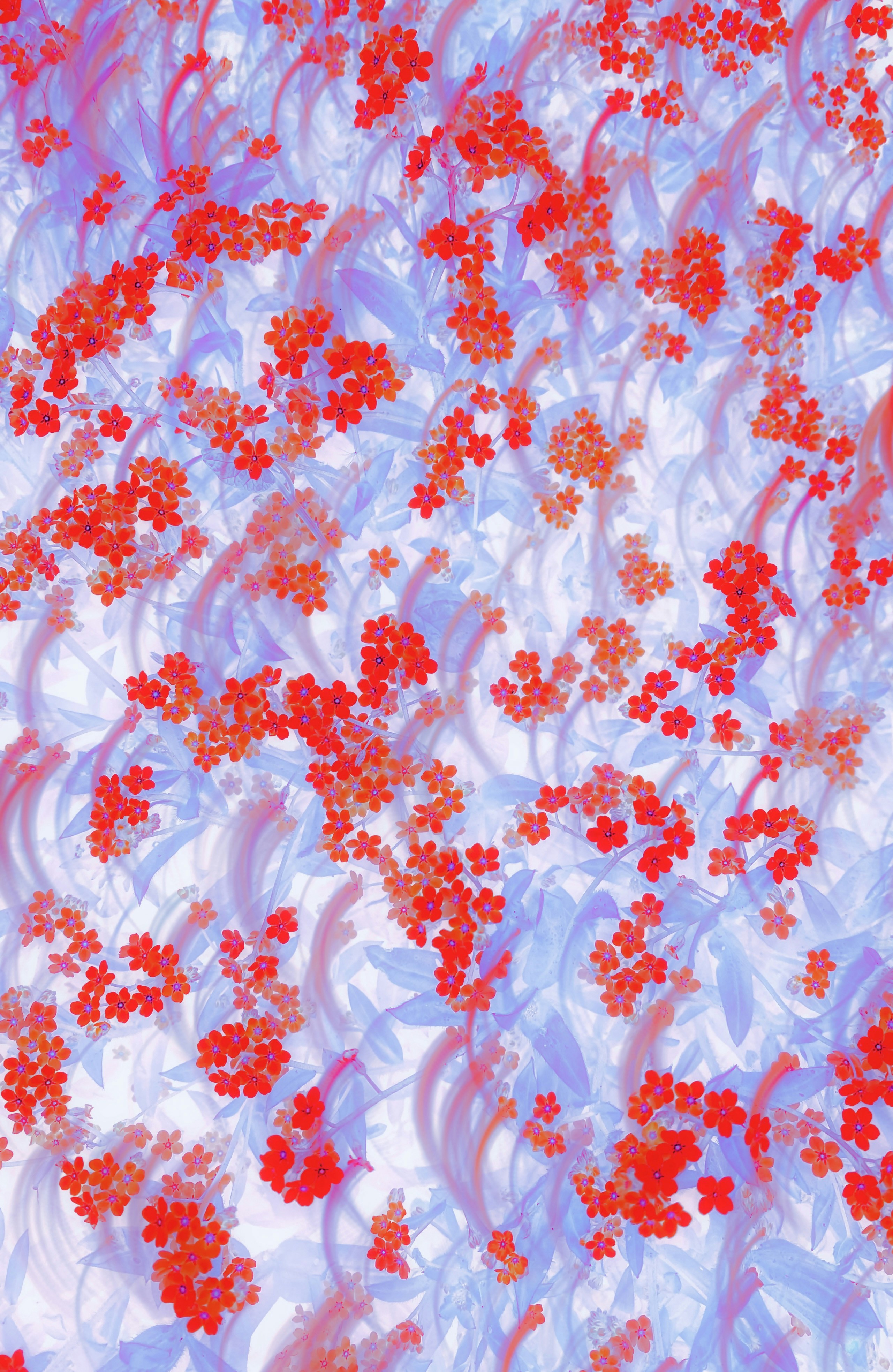 Photo by eugene_golovesov