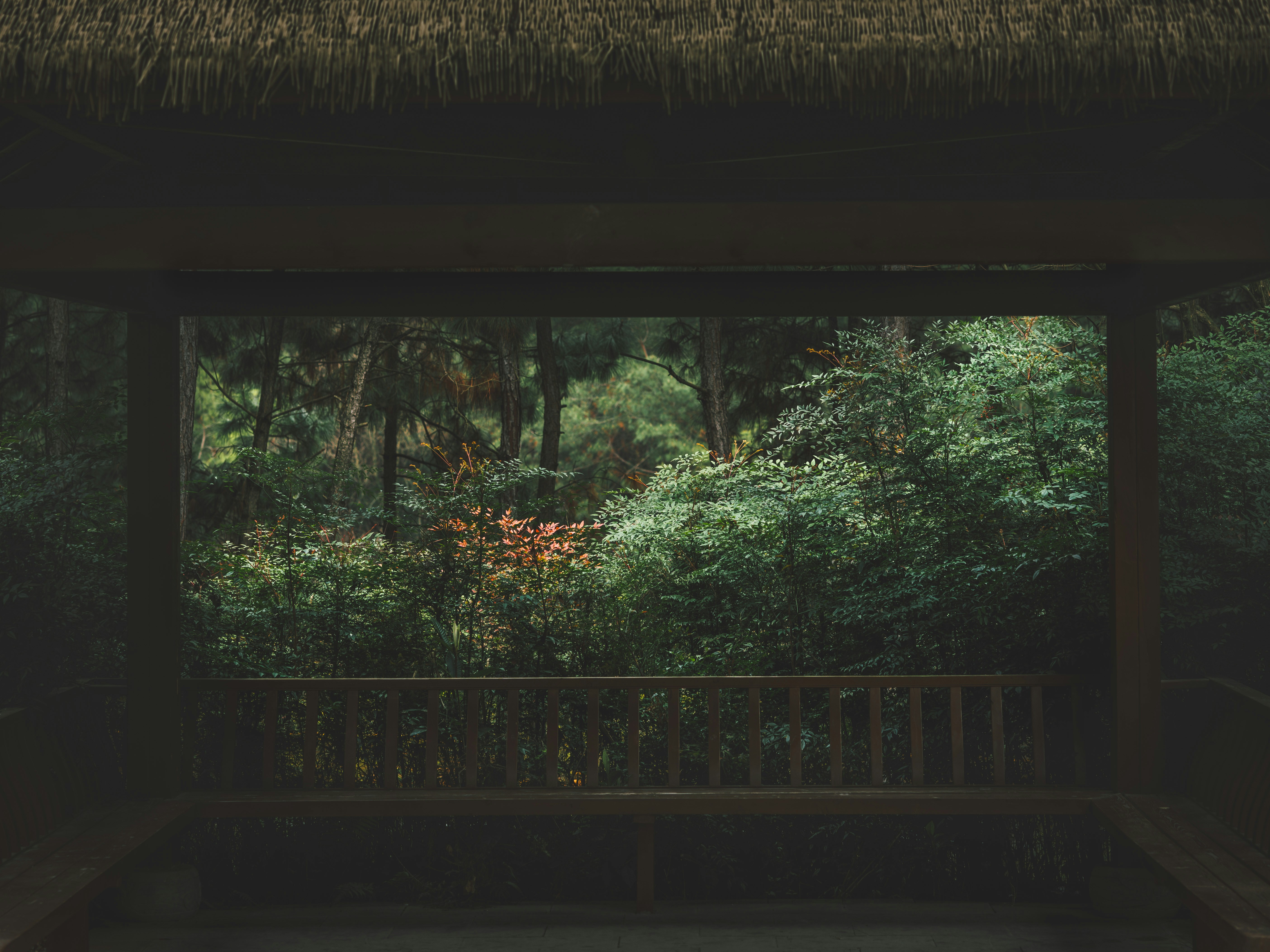 A view of lush greenery through a pavilion.