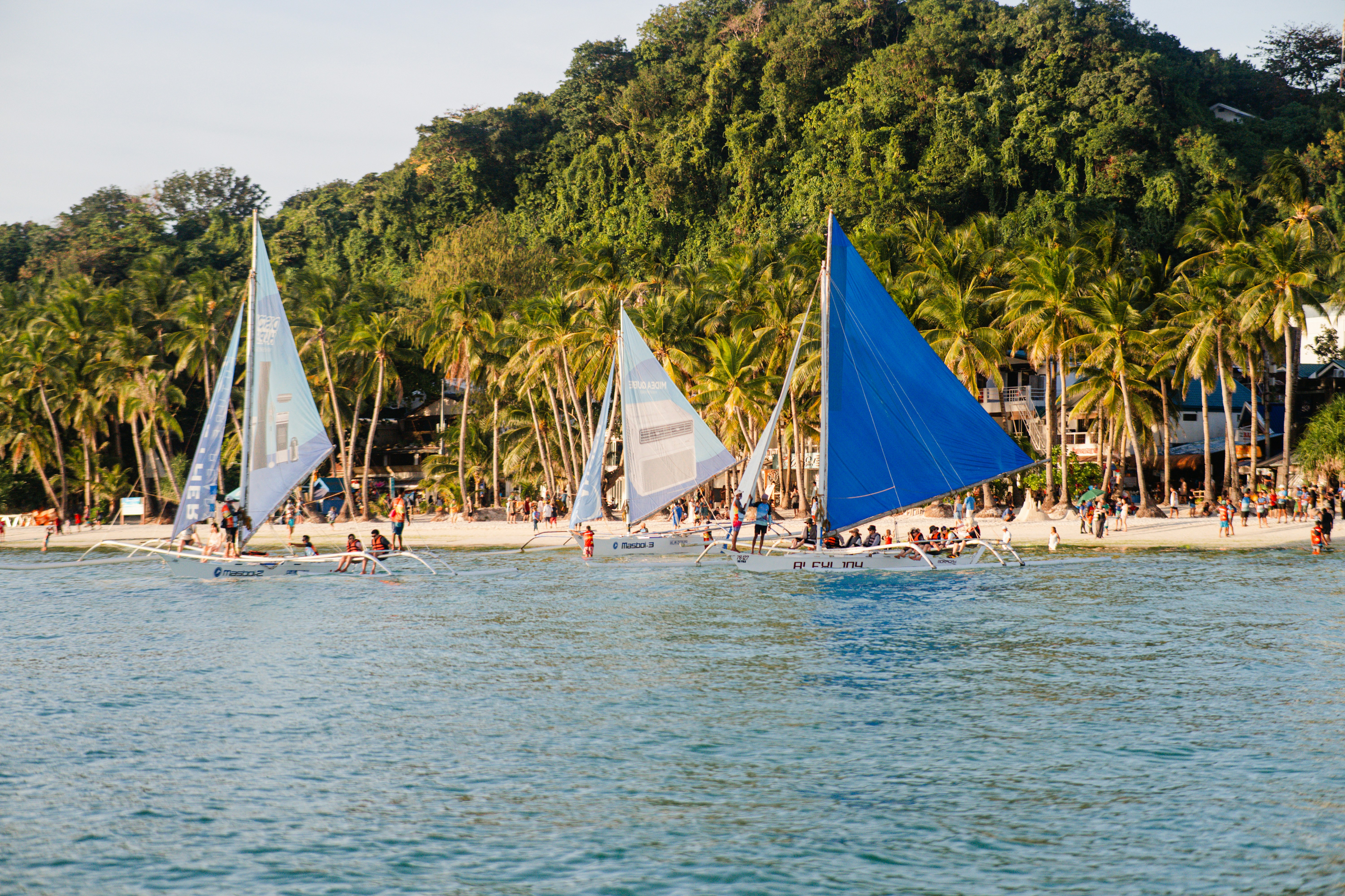Sailboats on a beautiful beach with tropical trees.