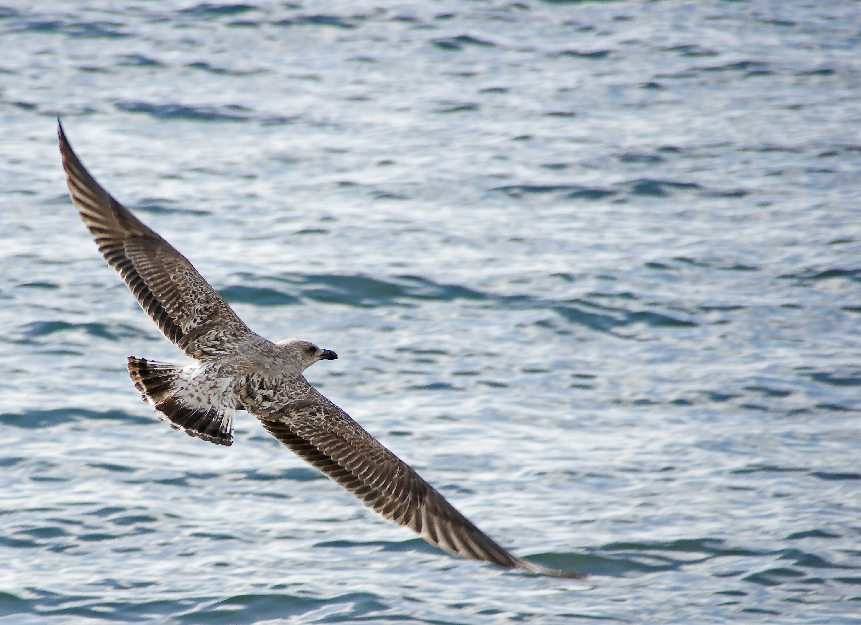 Photo by josealmeida2090