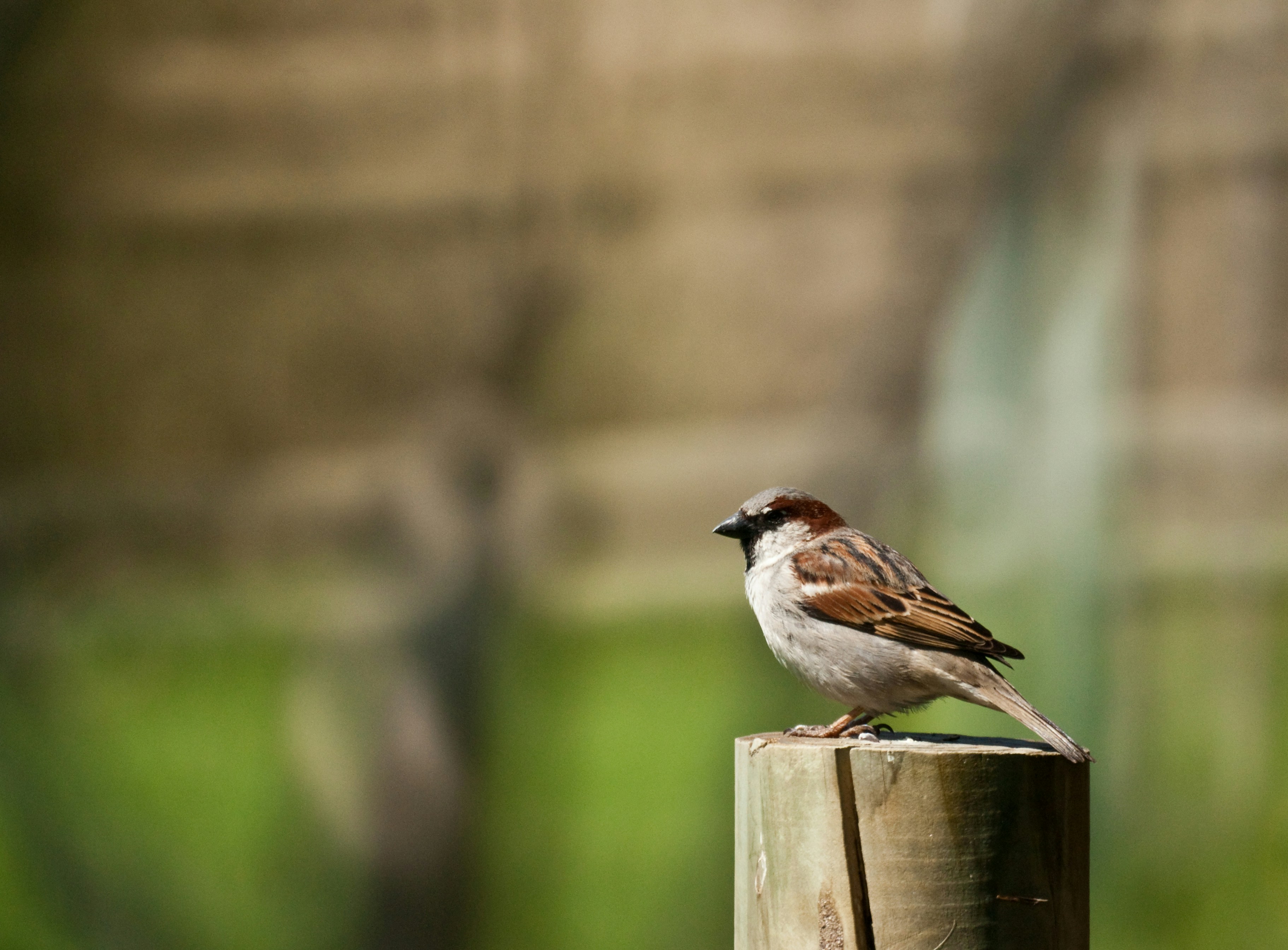 Photo by josealmeida2090