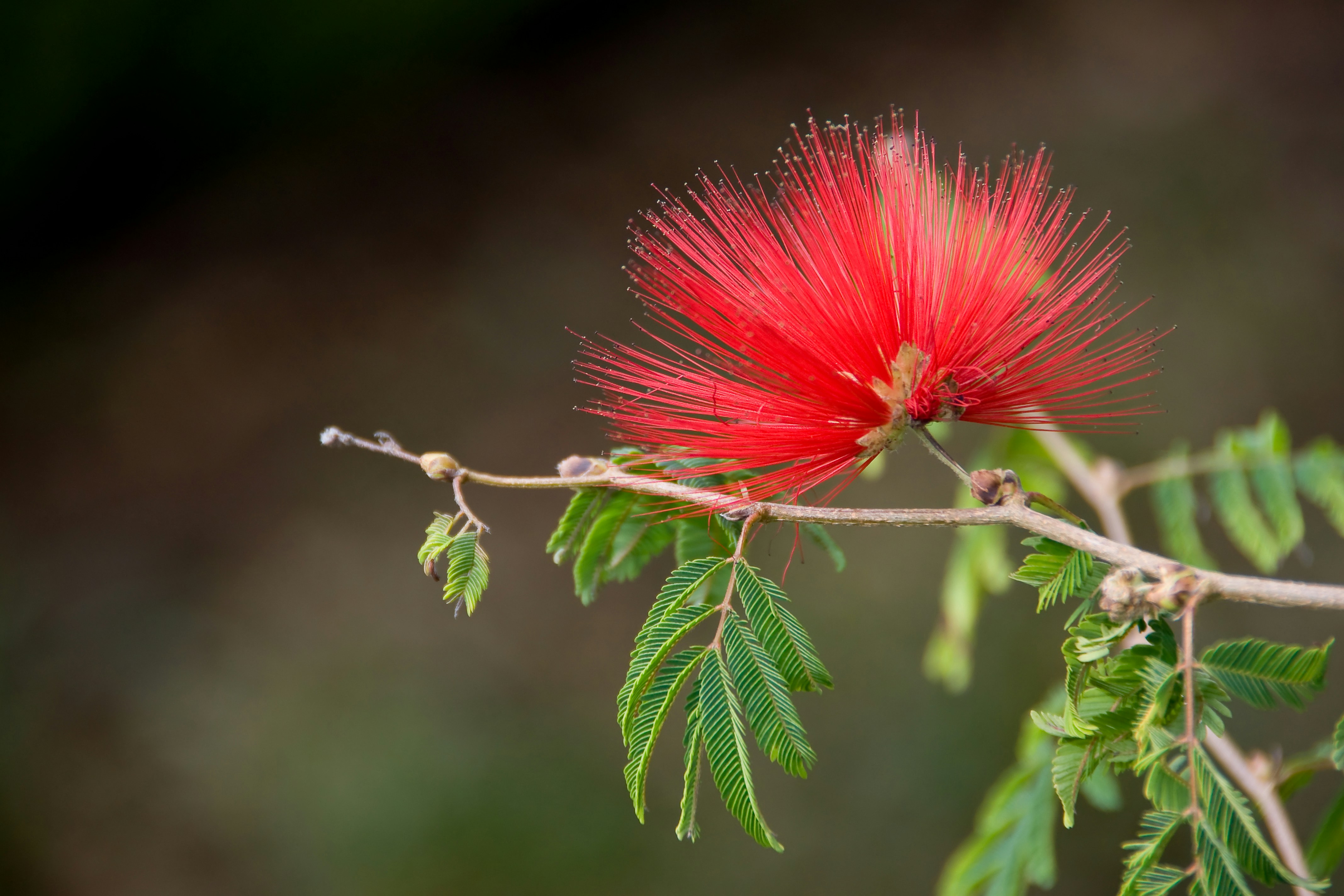 Photo by josealmeida2090