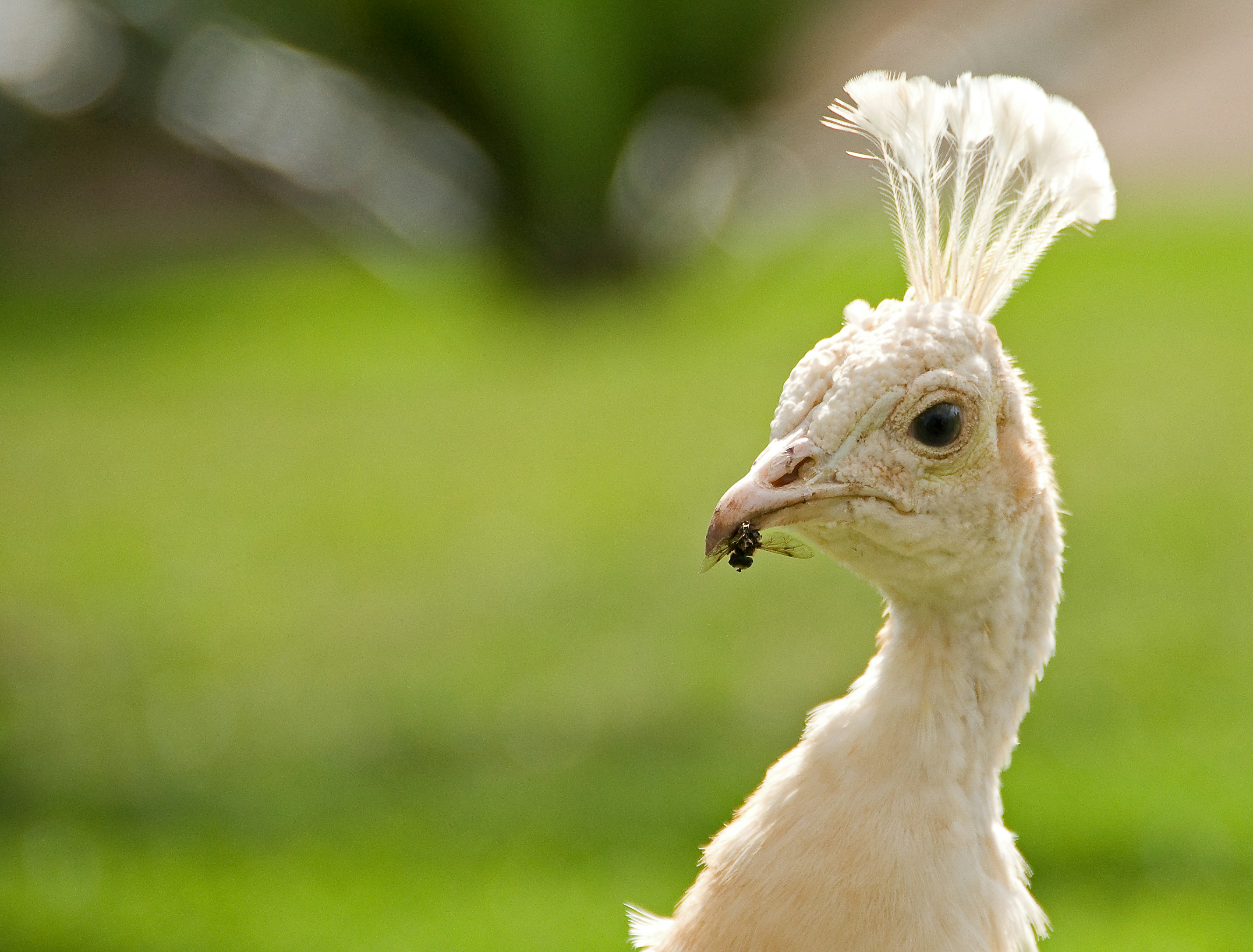 Photo by josealmeida2090