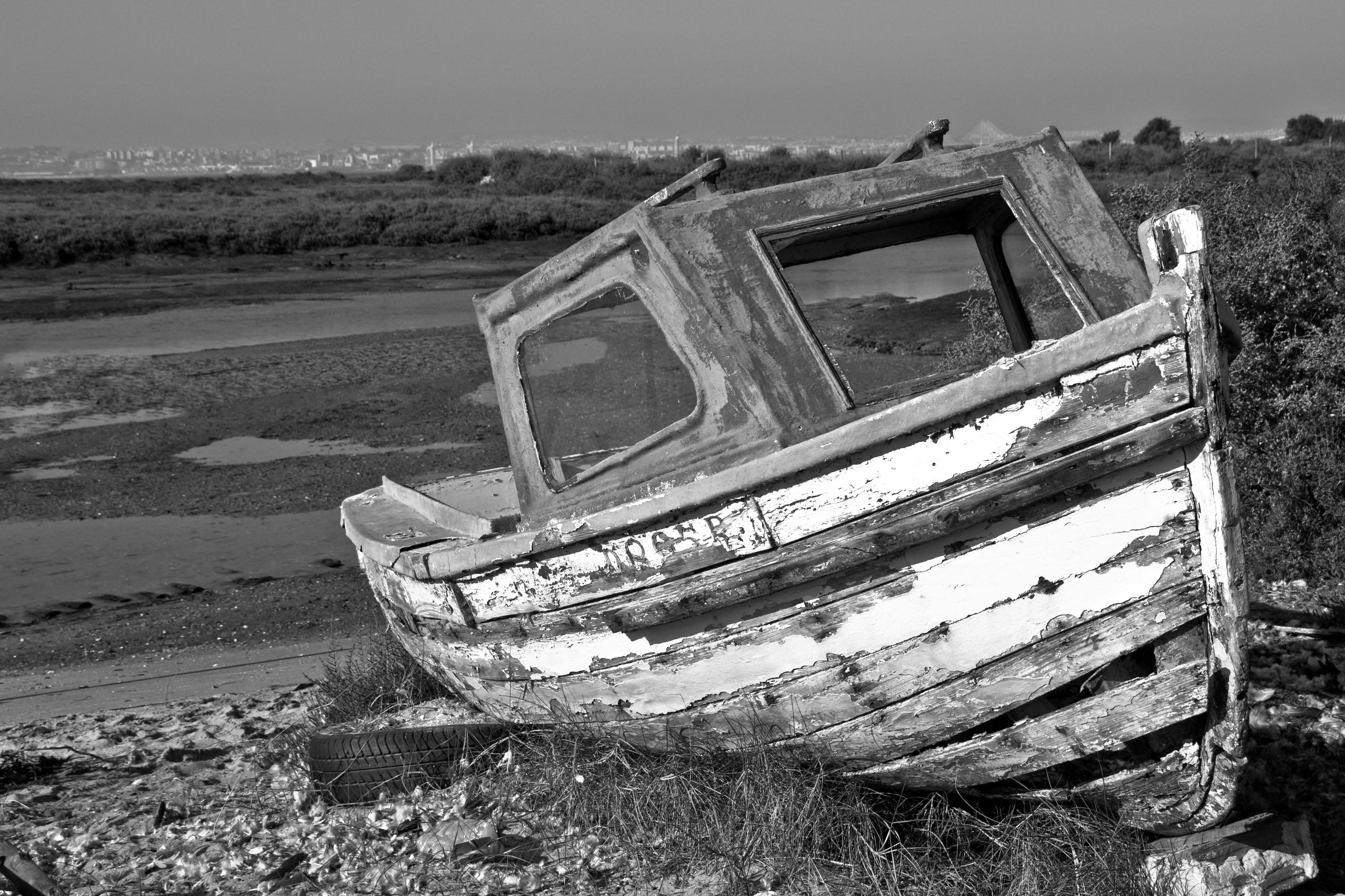 Photo by josealmeida2090