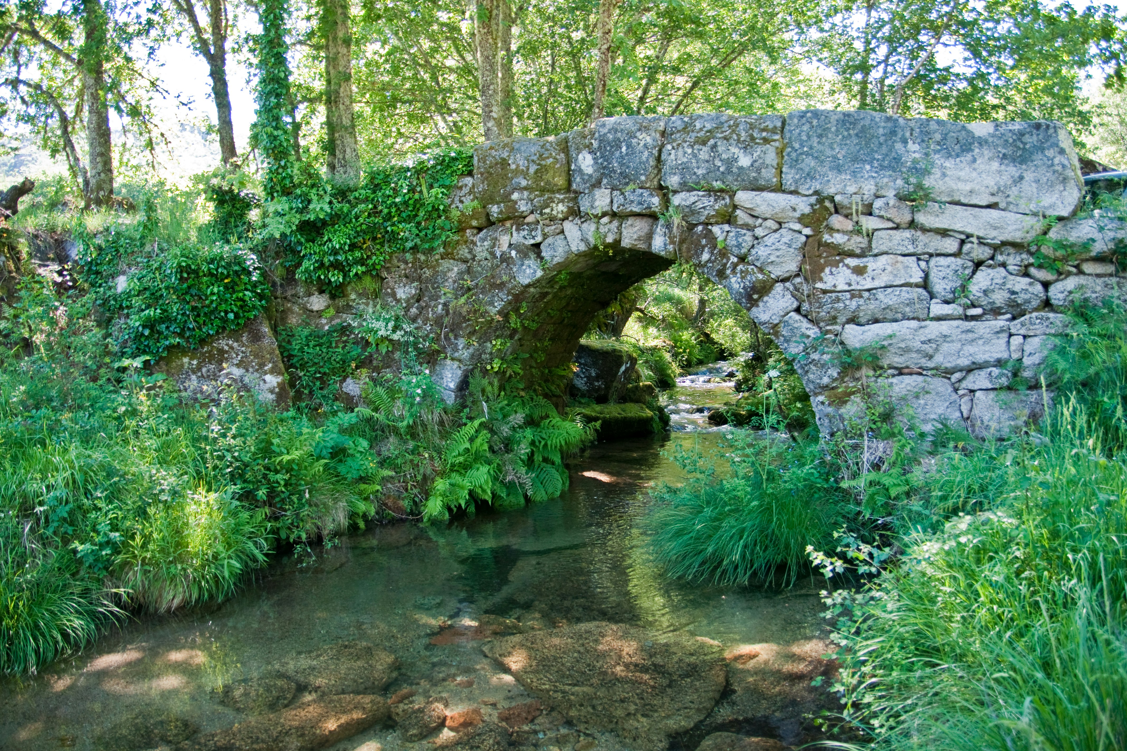 Photo by josealmeida2090