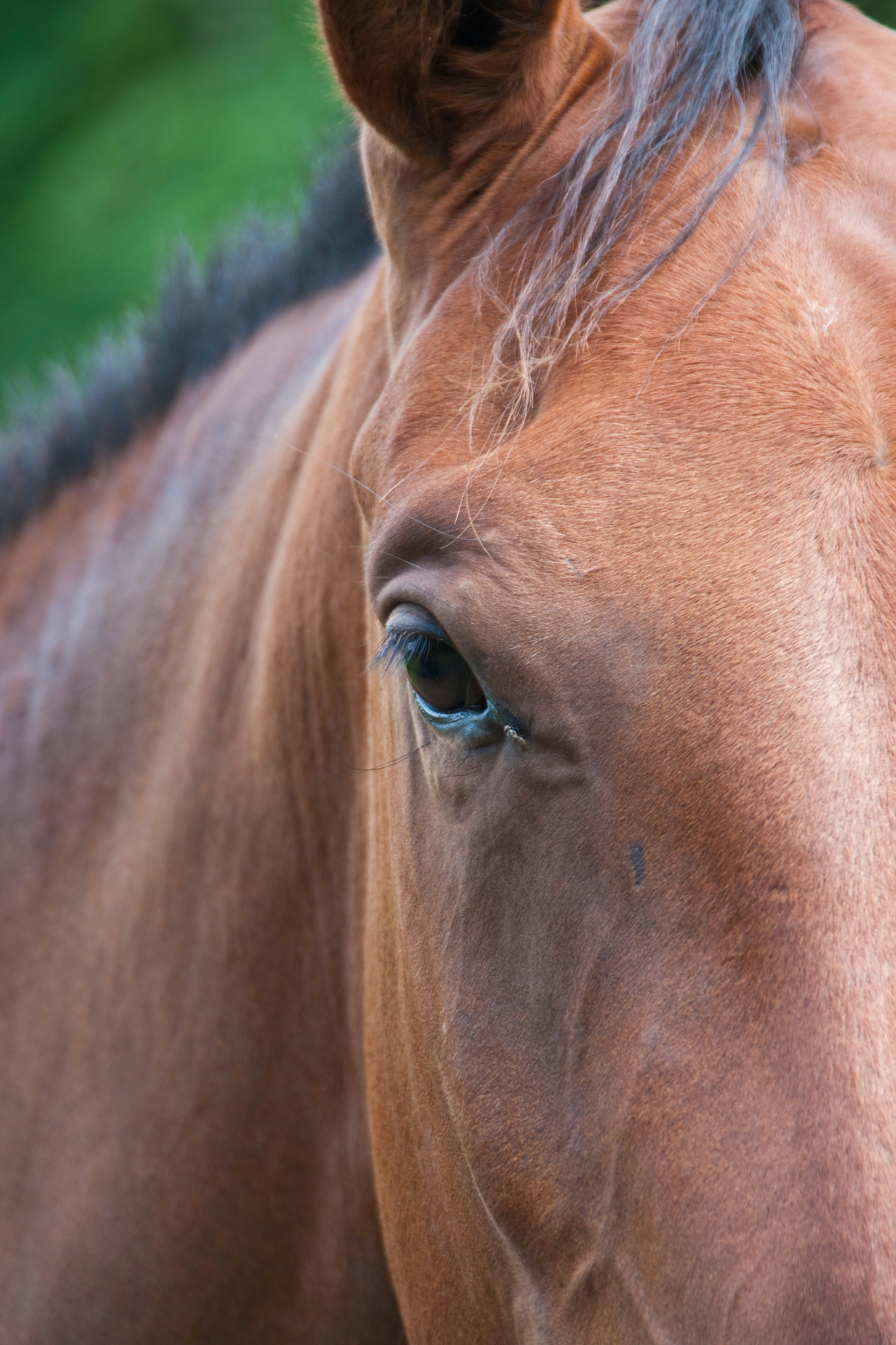 Photo by josealmeida2090