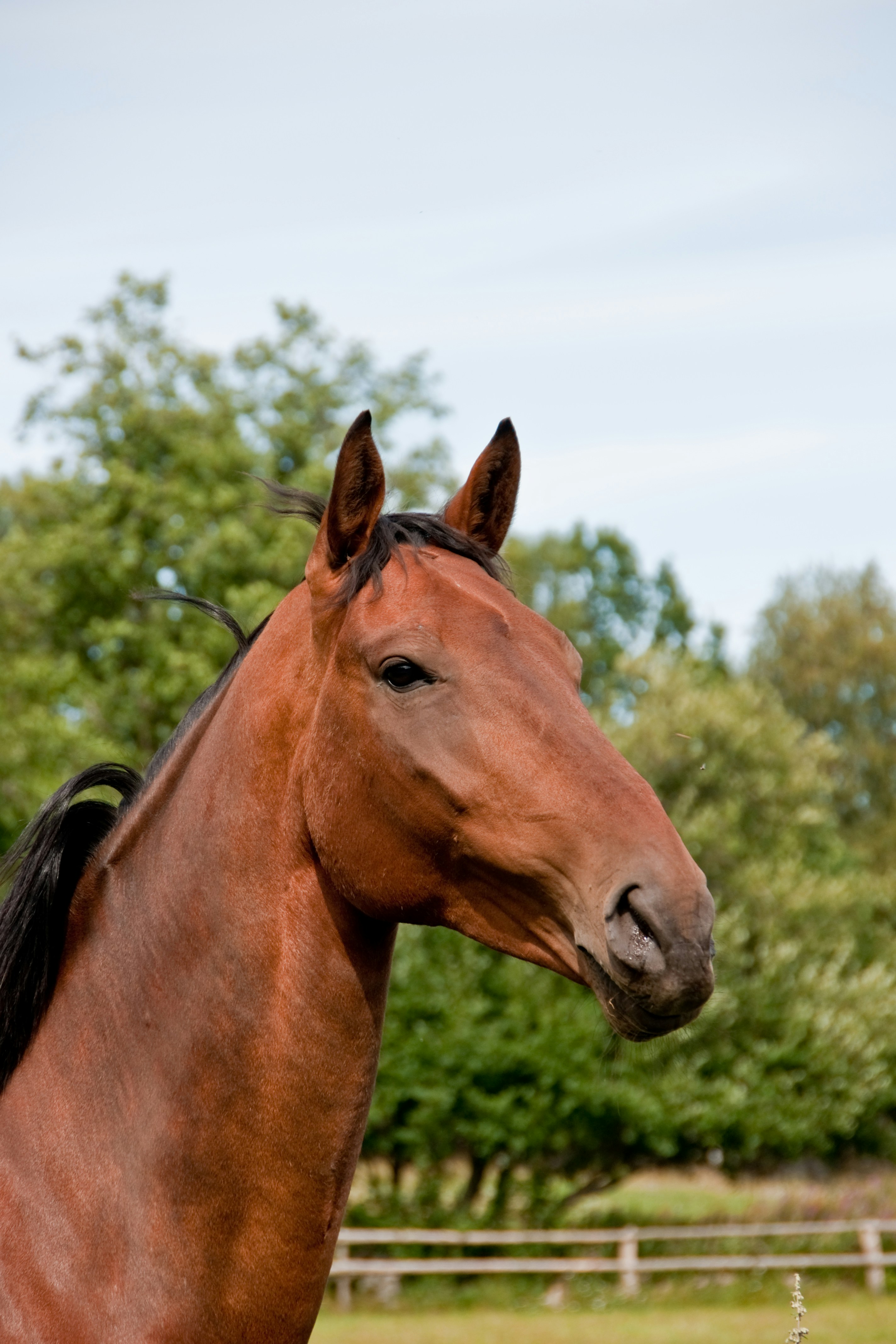 Photo by josealmeida2090