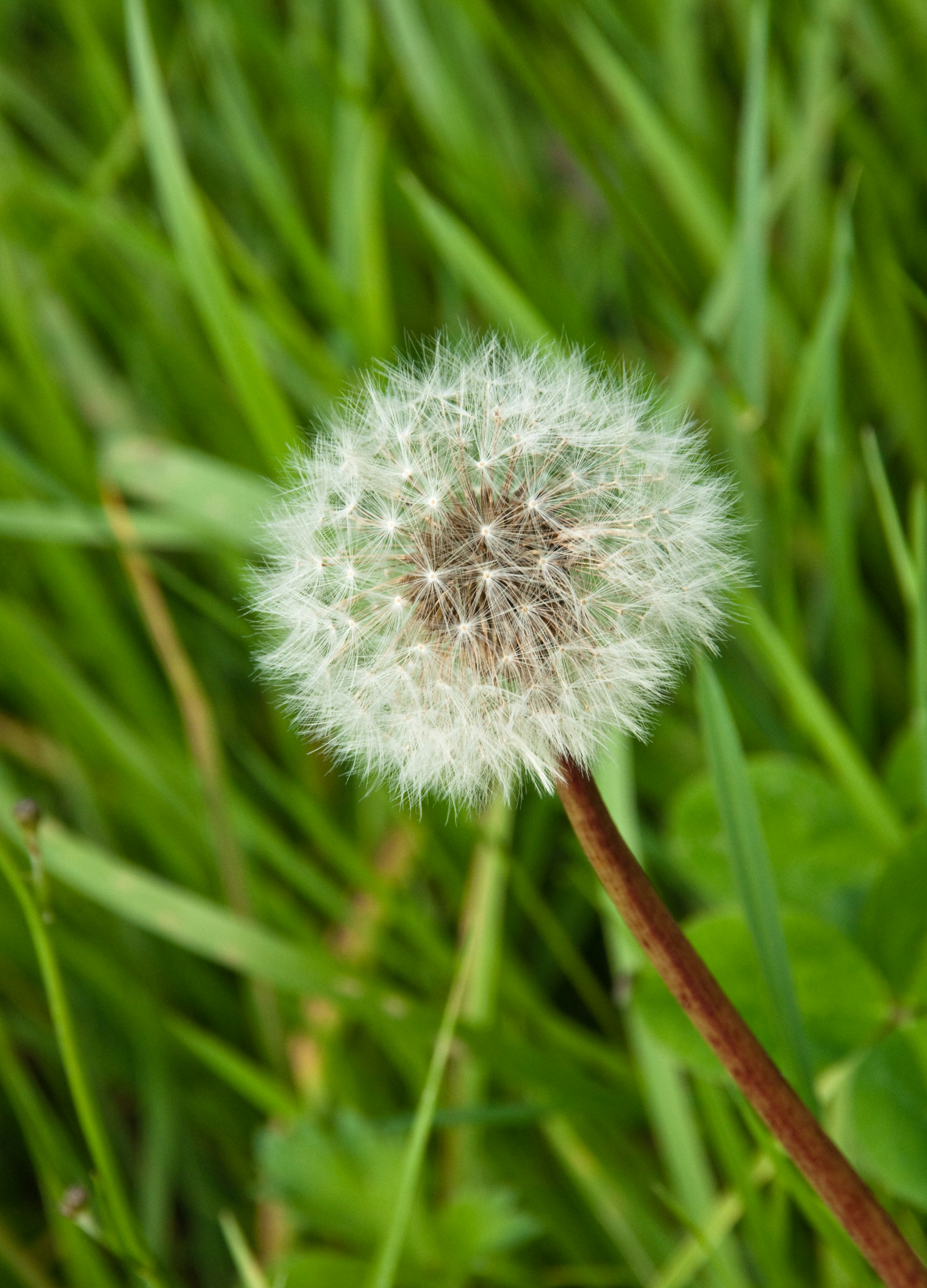 Photo by josealmeida2090