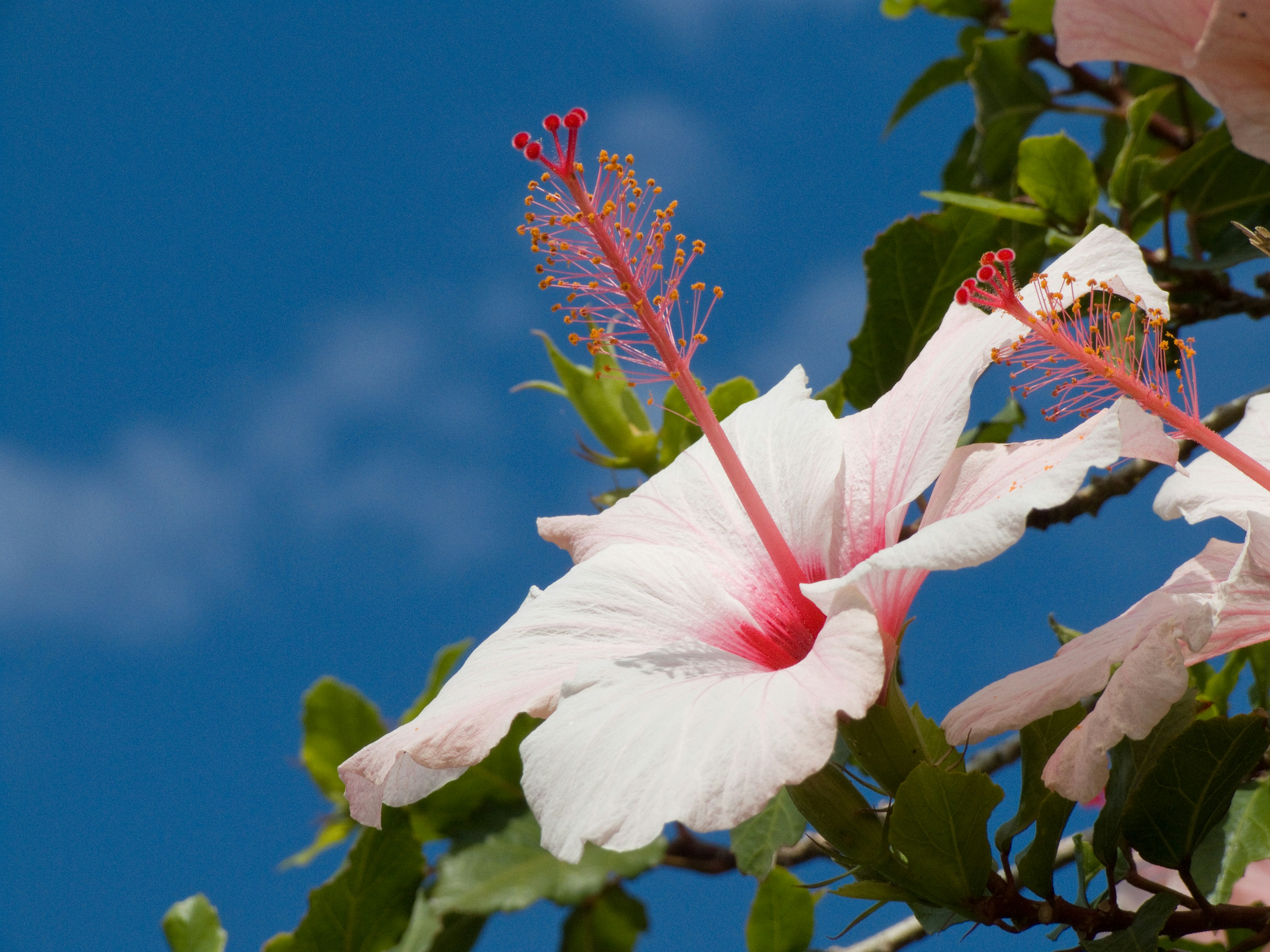 Photo by josealmeida2090