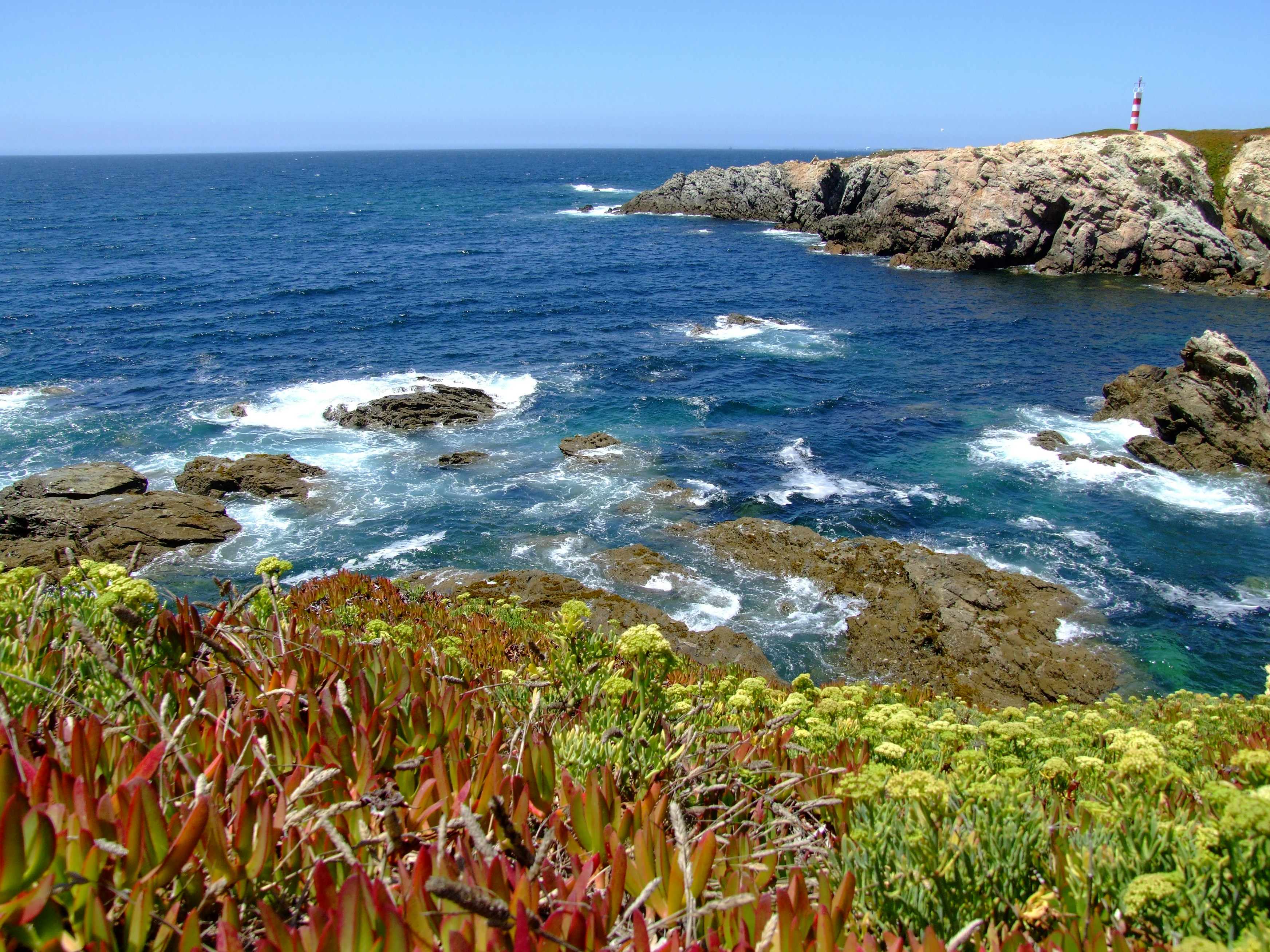 Photo by josealmeida2090