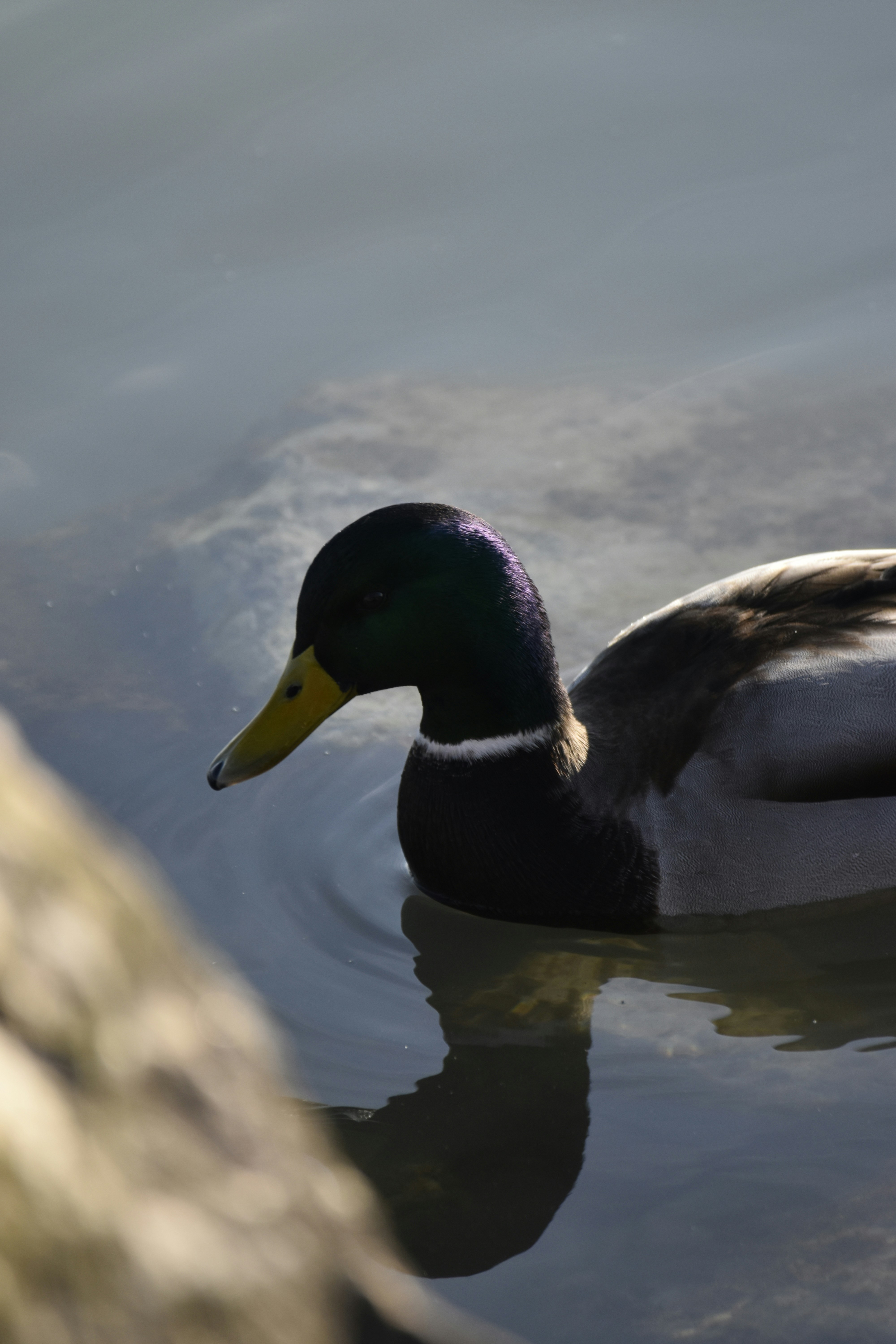 Photo by znphotogarphy