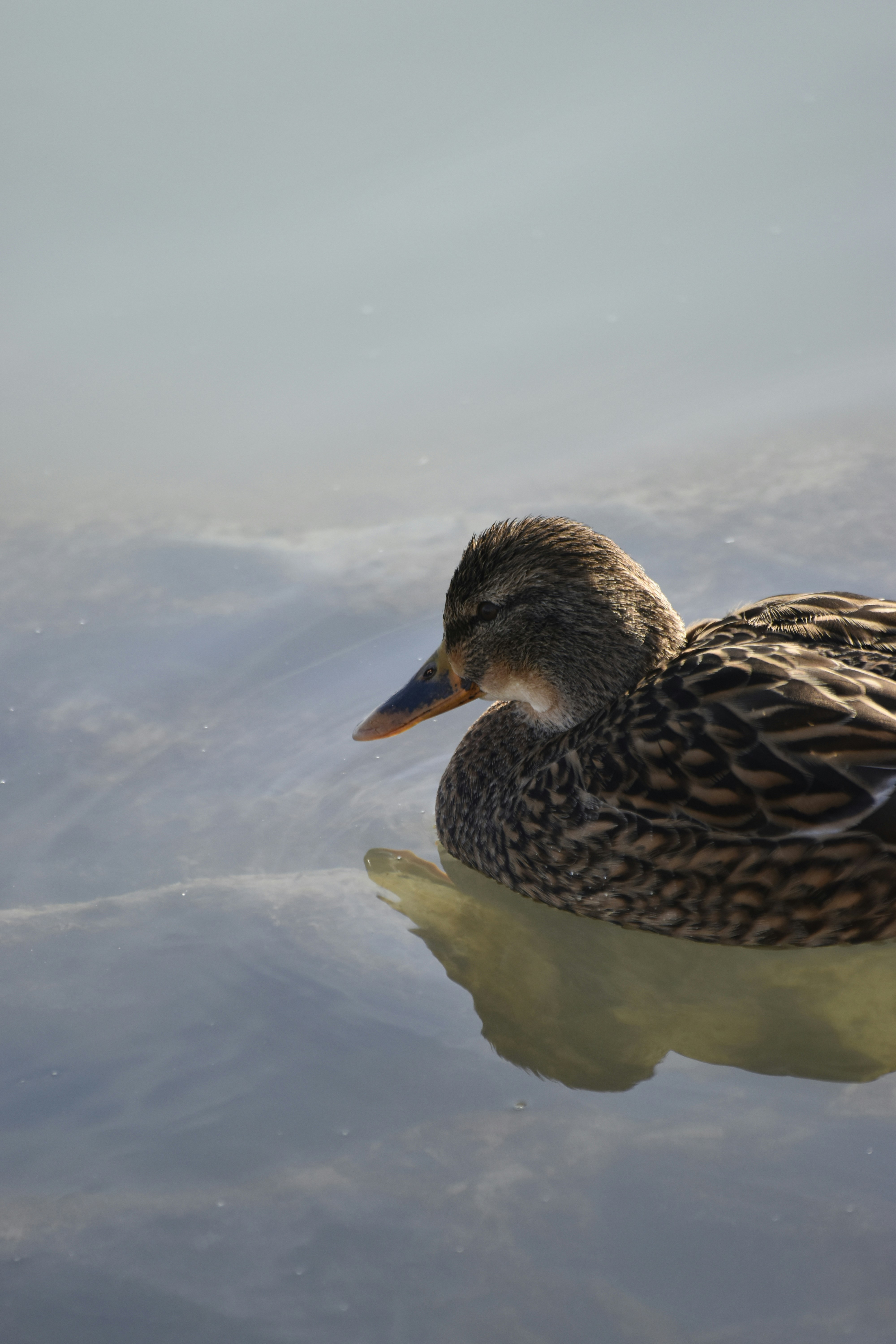 Photo by znphotogarphy