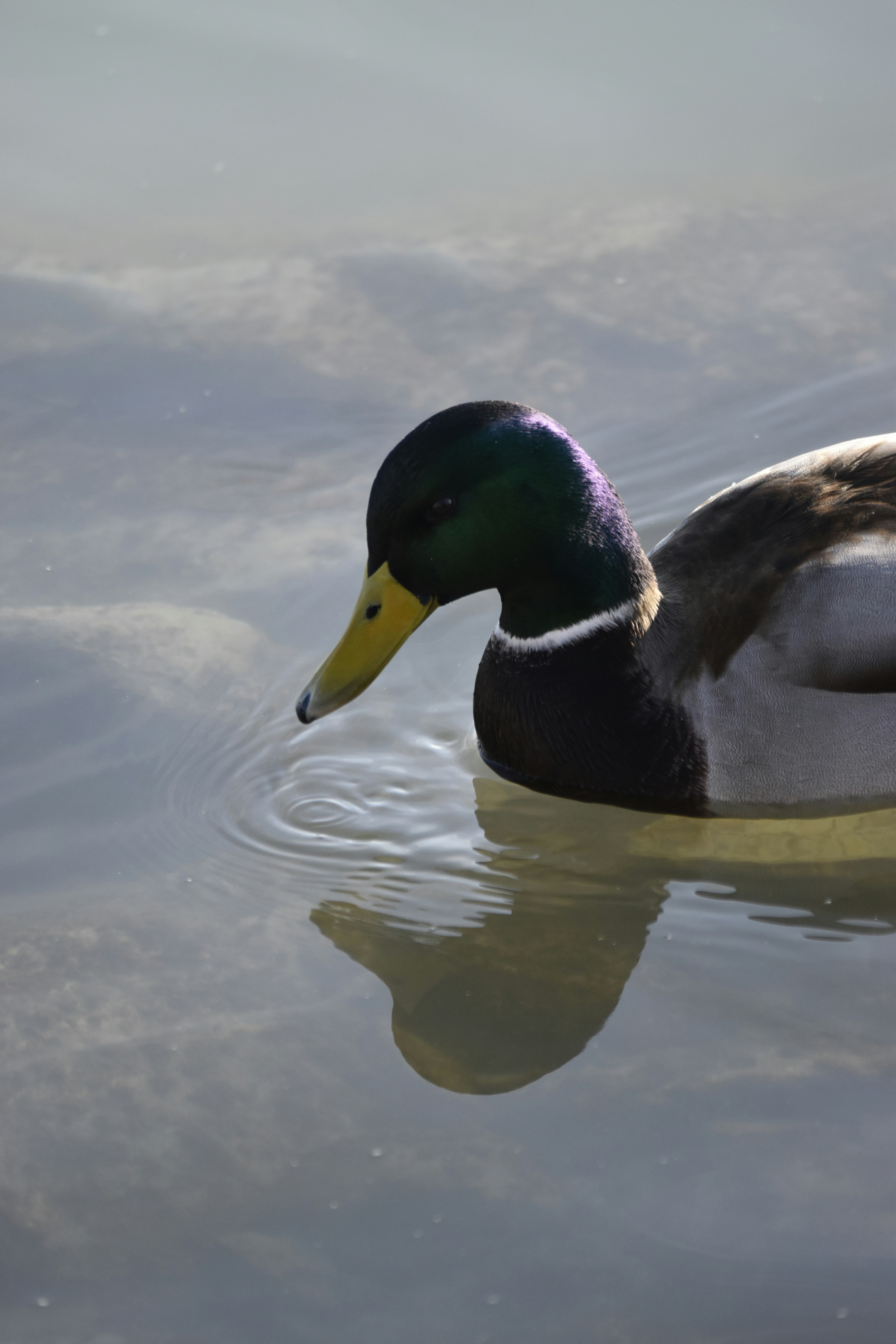 Photo by znphotogarphy