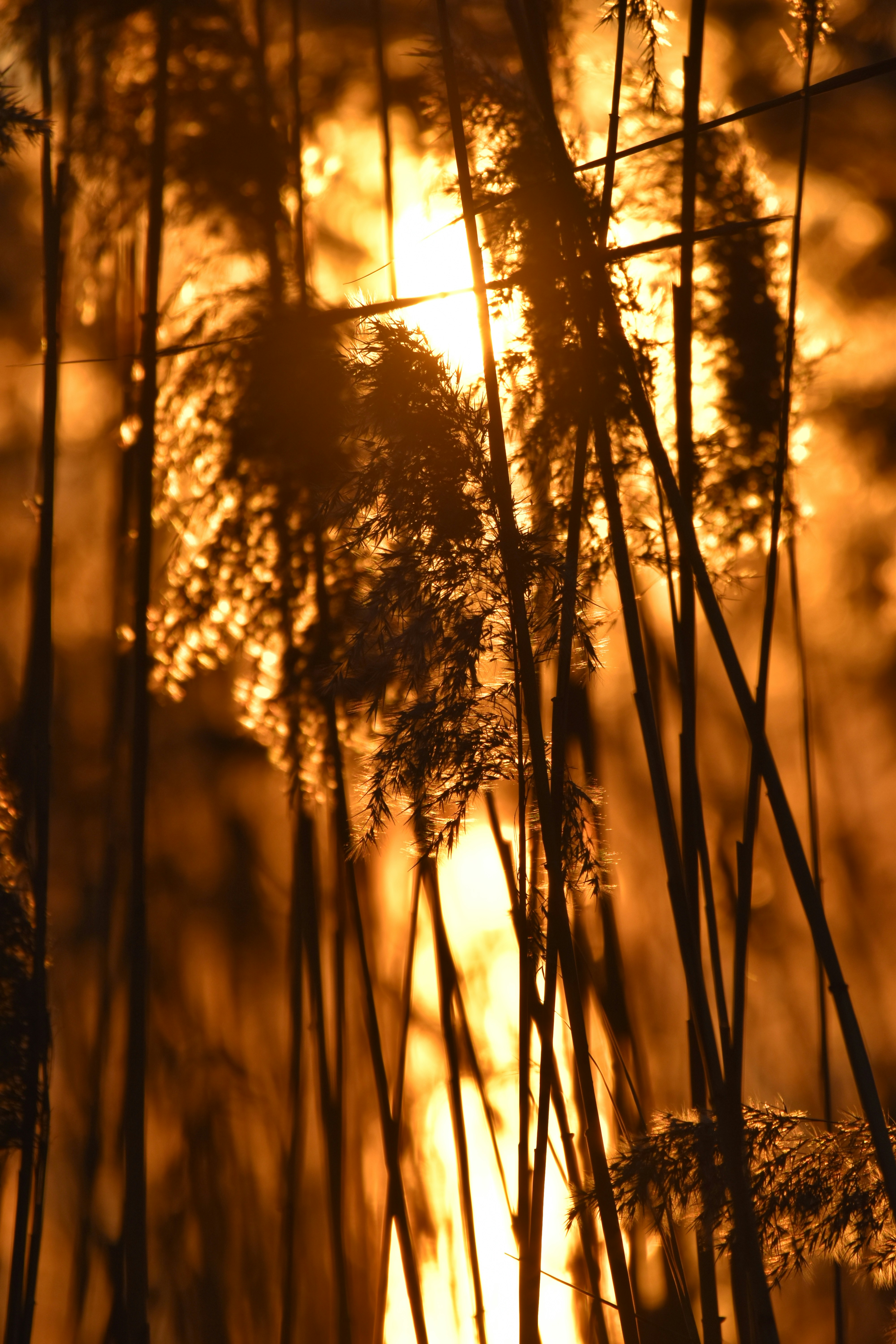 Photo by znphotogarphy