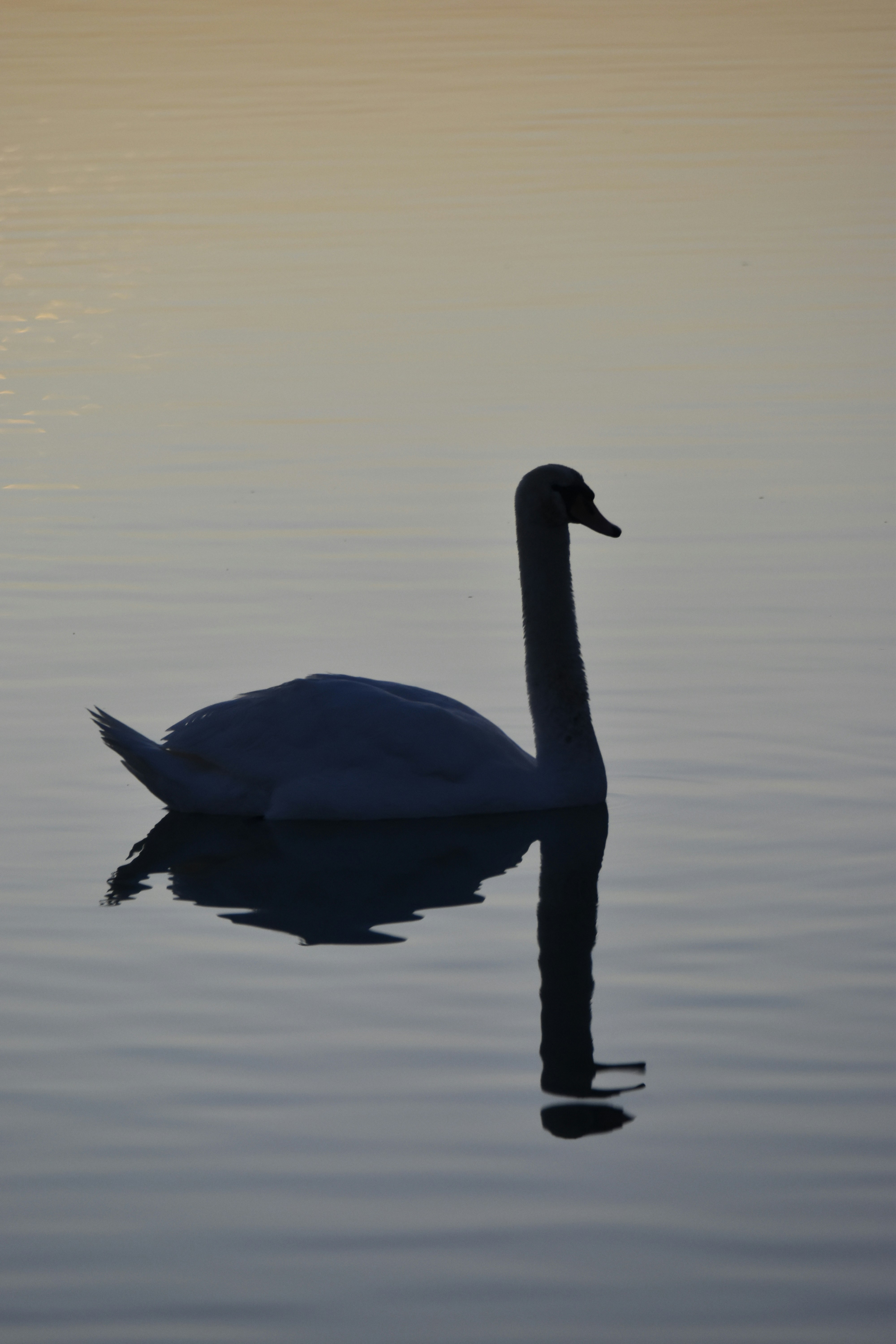 Photo by znphotogarphy