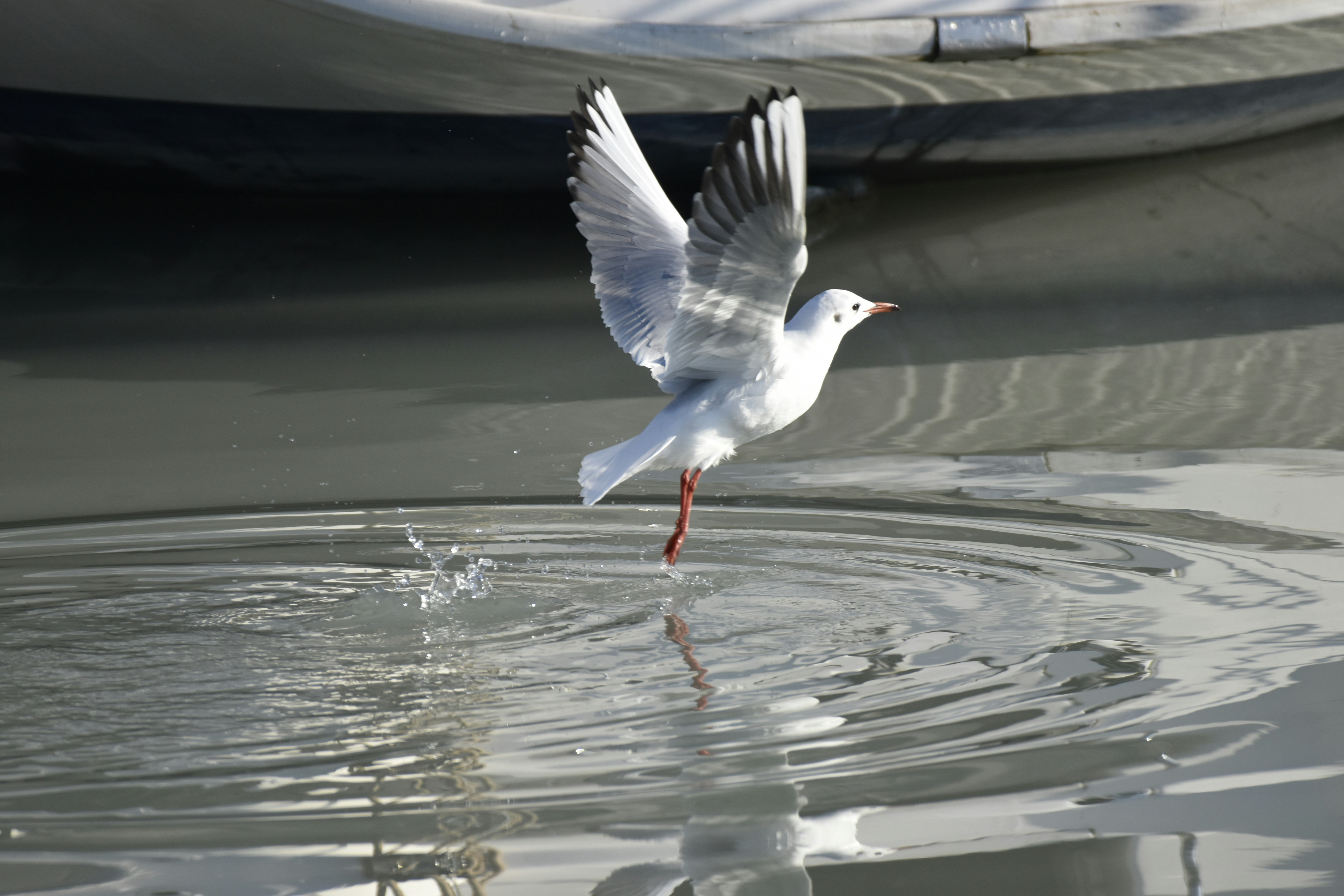 Photo by znphotogarphy