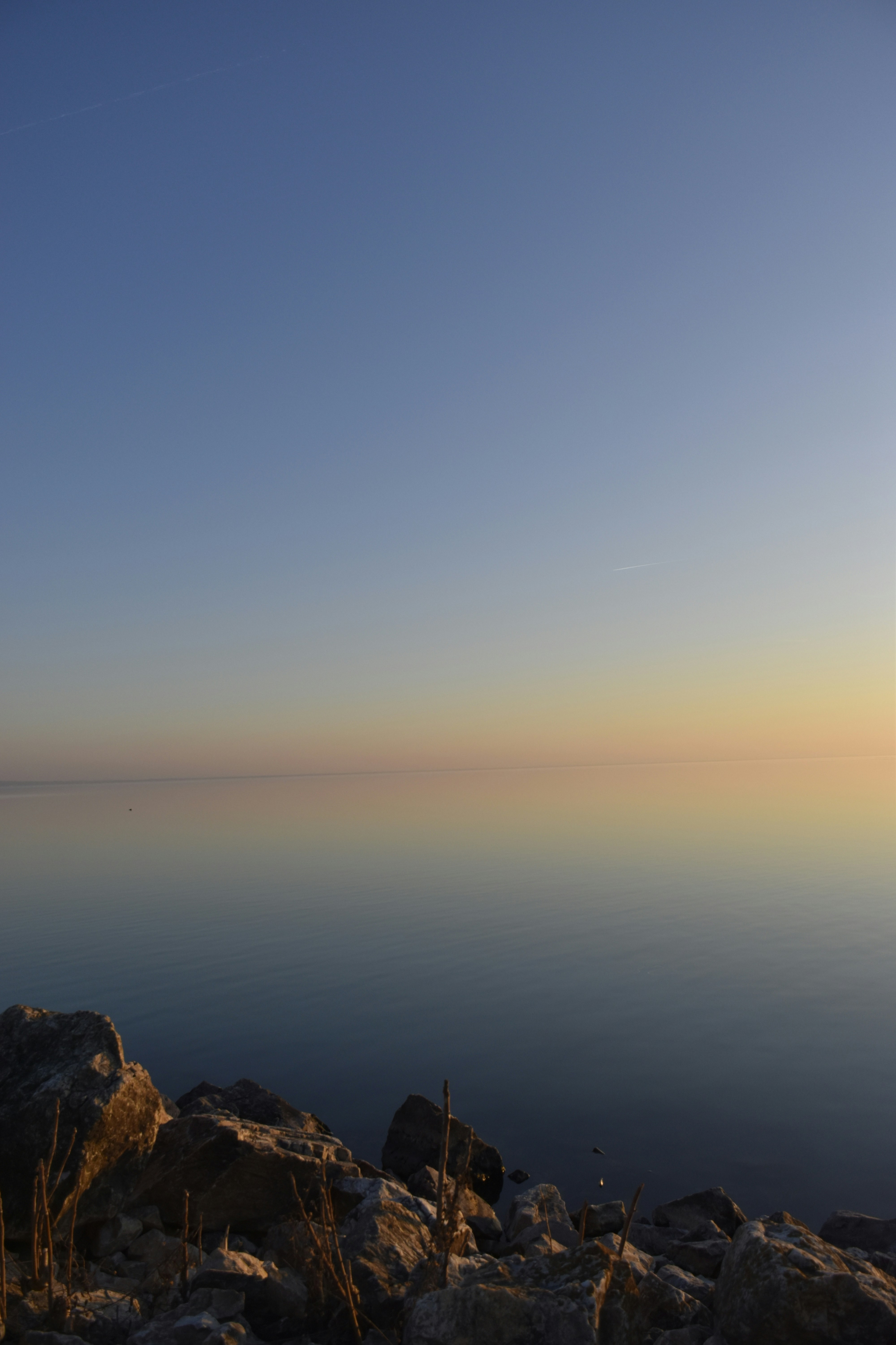 Photo by znphotogarphy