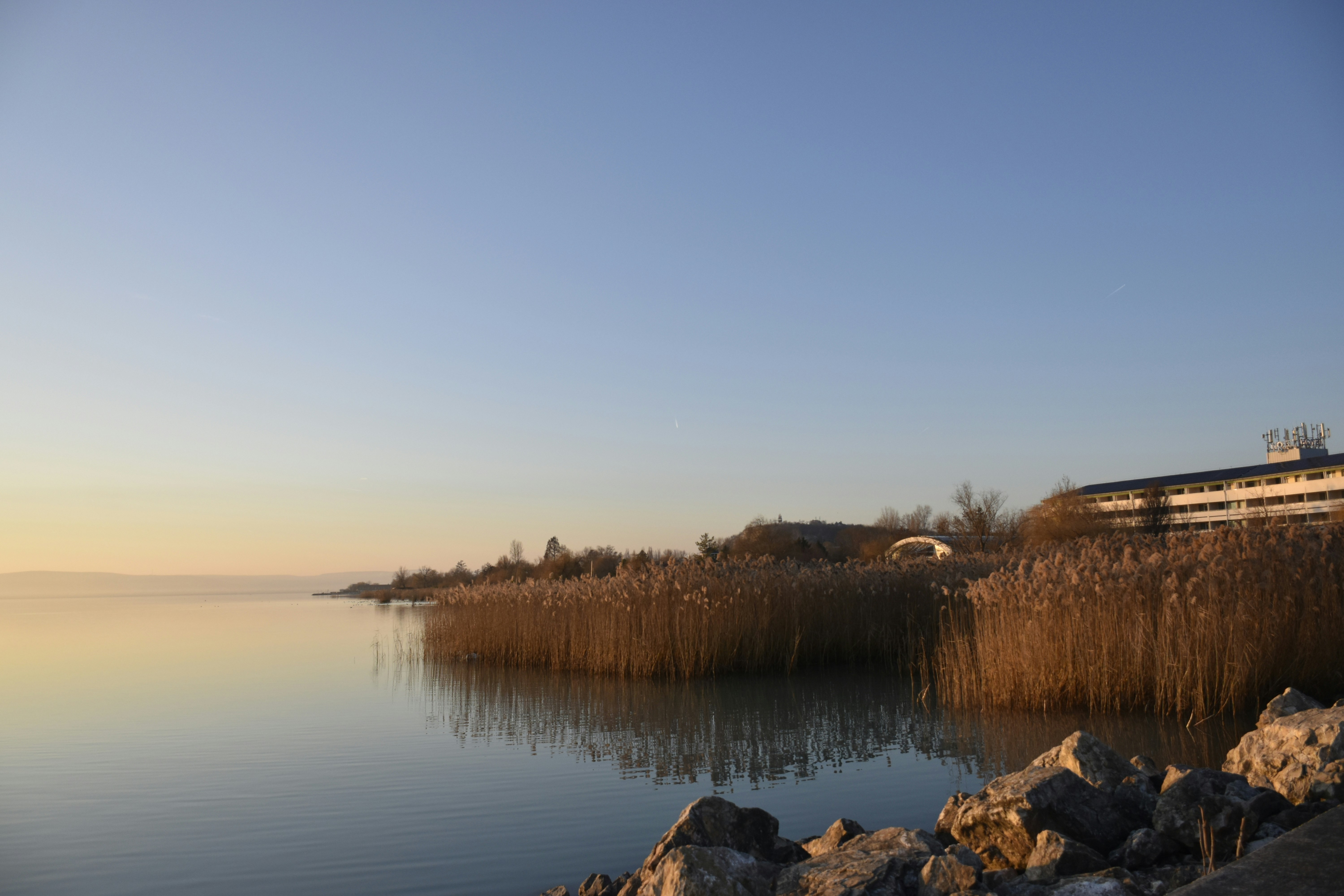 Photo by znphotogarphy