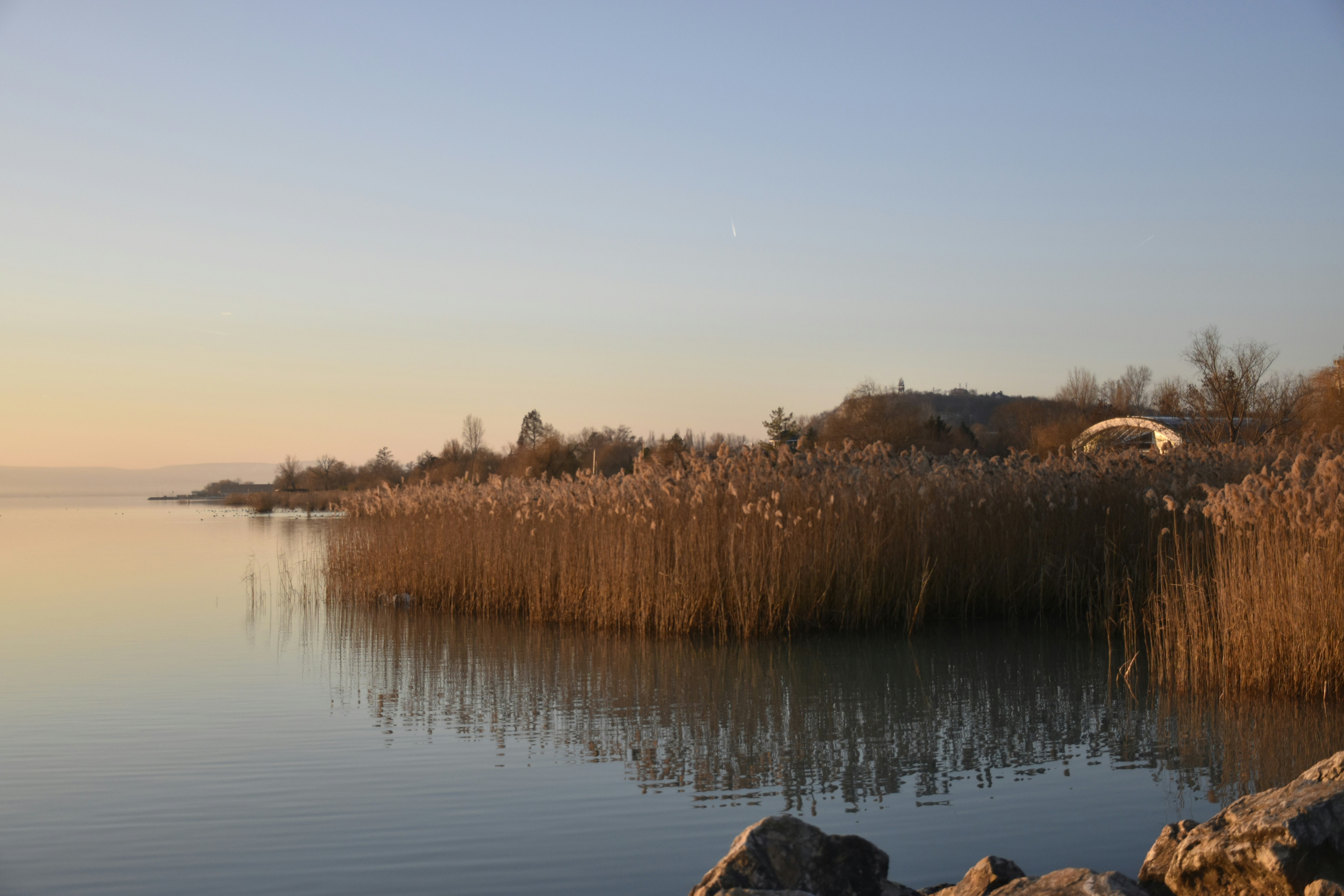 Photo by znphotogarphy