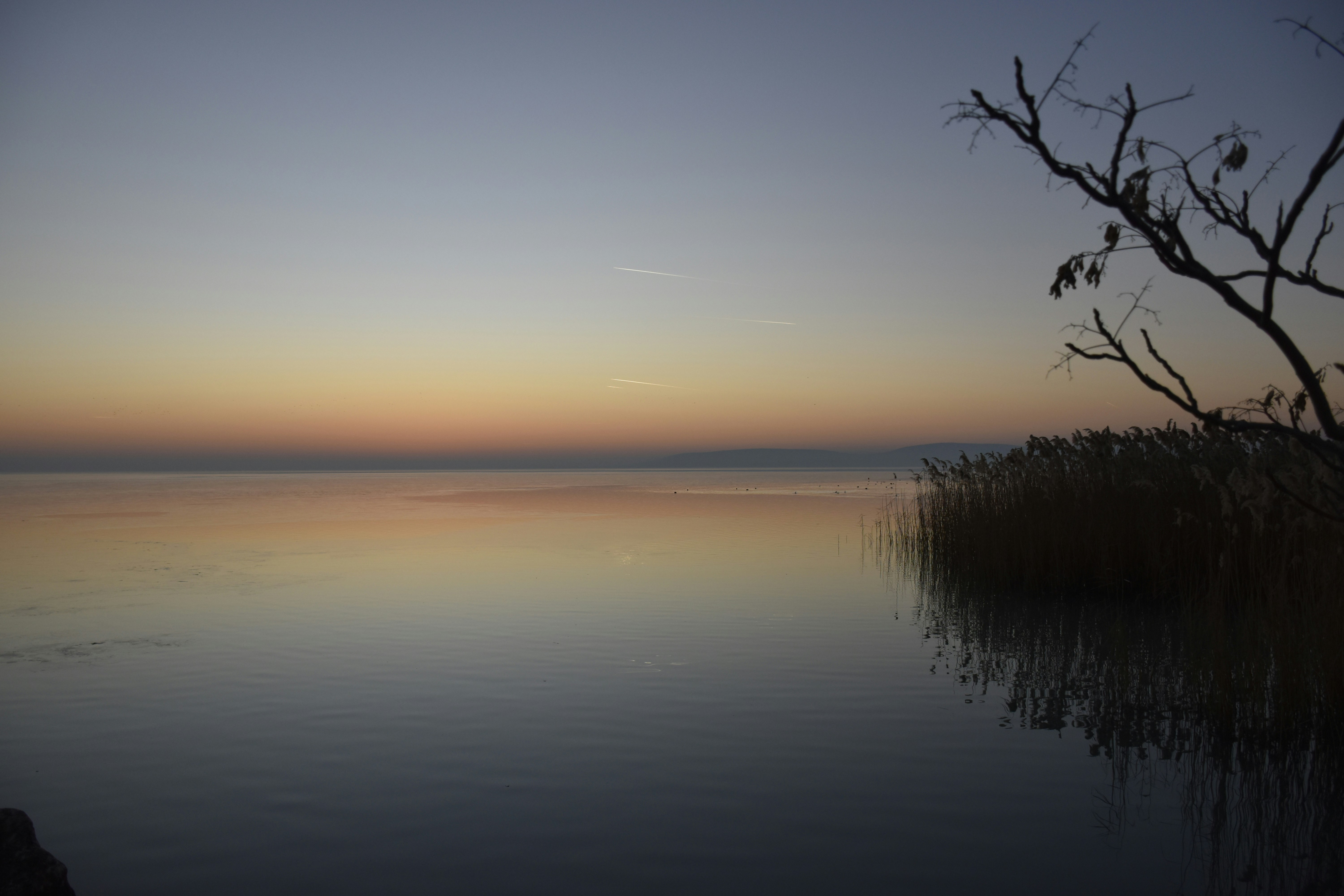 Photo by znphotogarphy