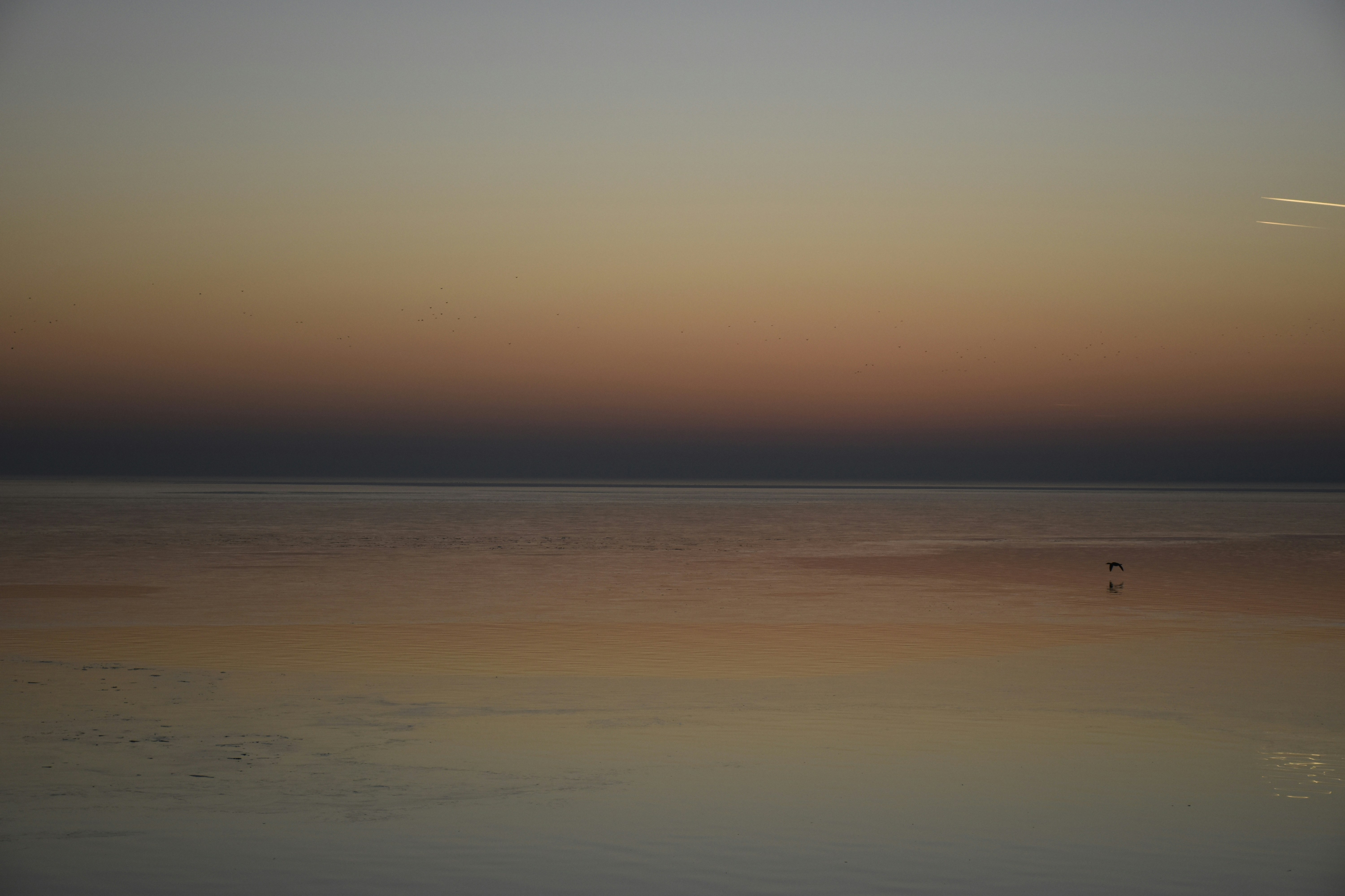 Photo by znphotogarphy