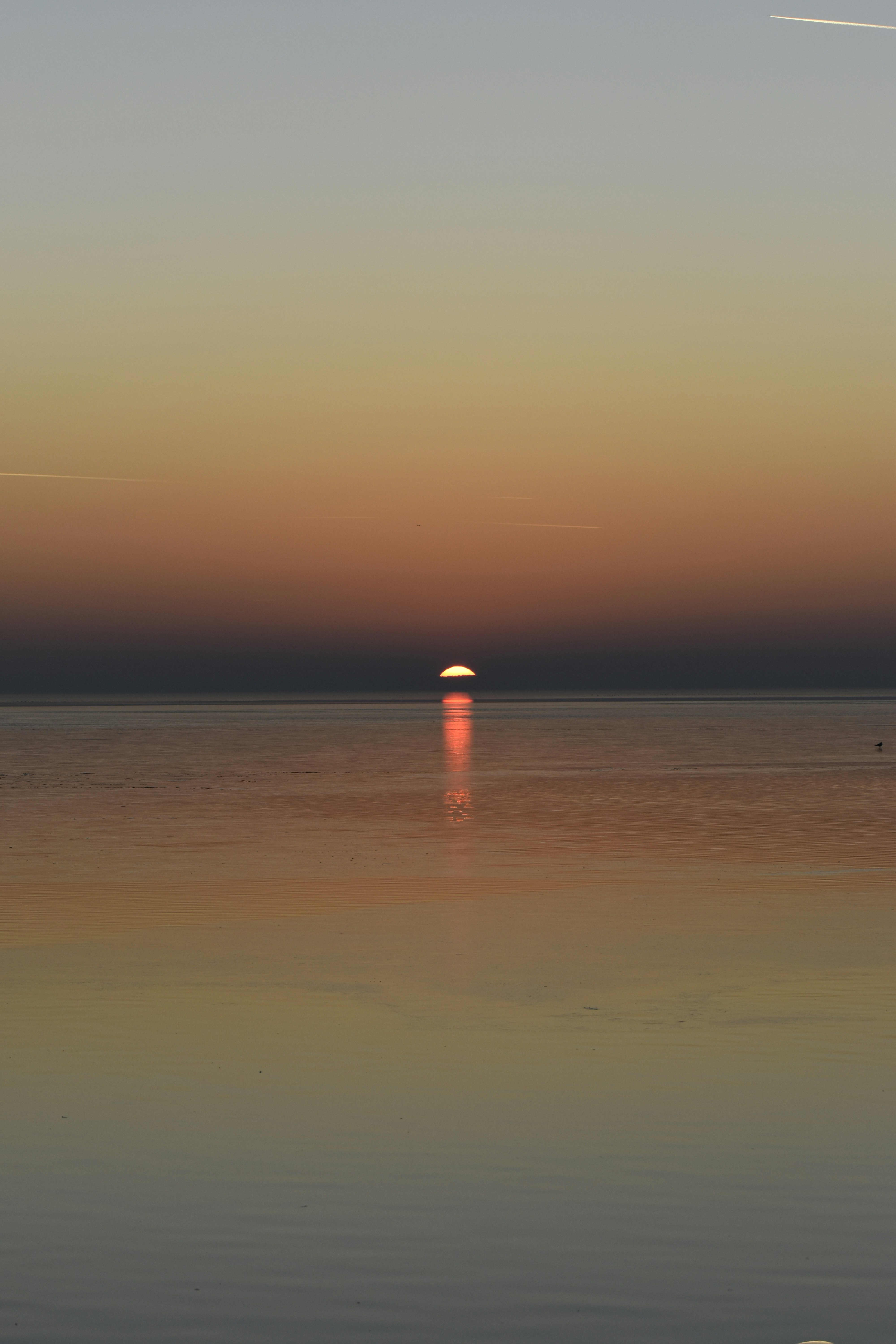 Photo by znphotogarphy