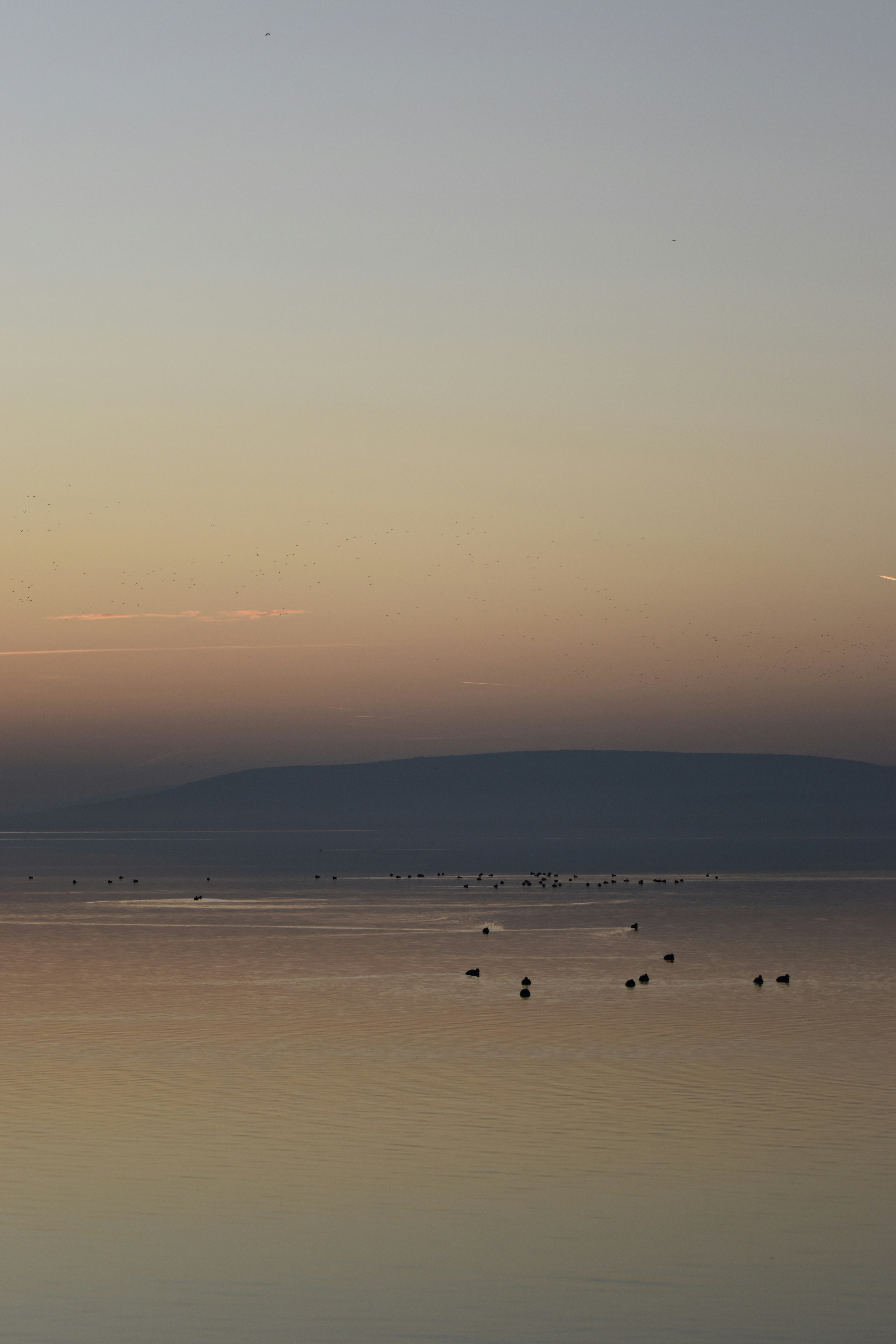 Photo by znphotogarphy