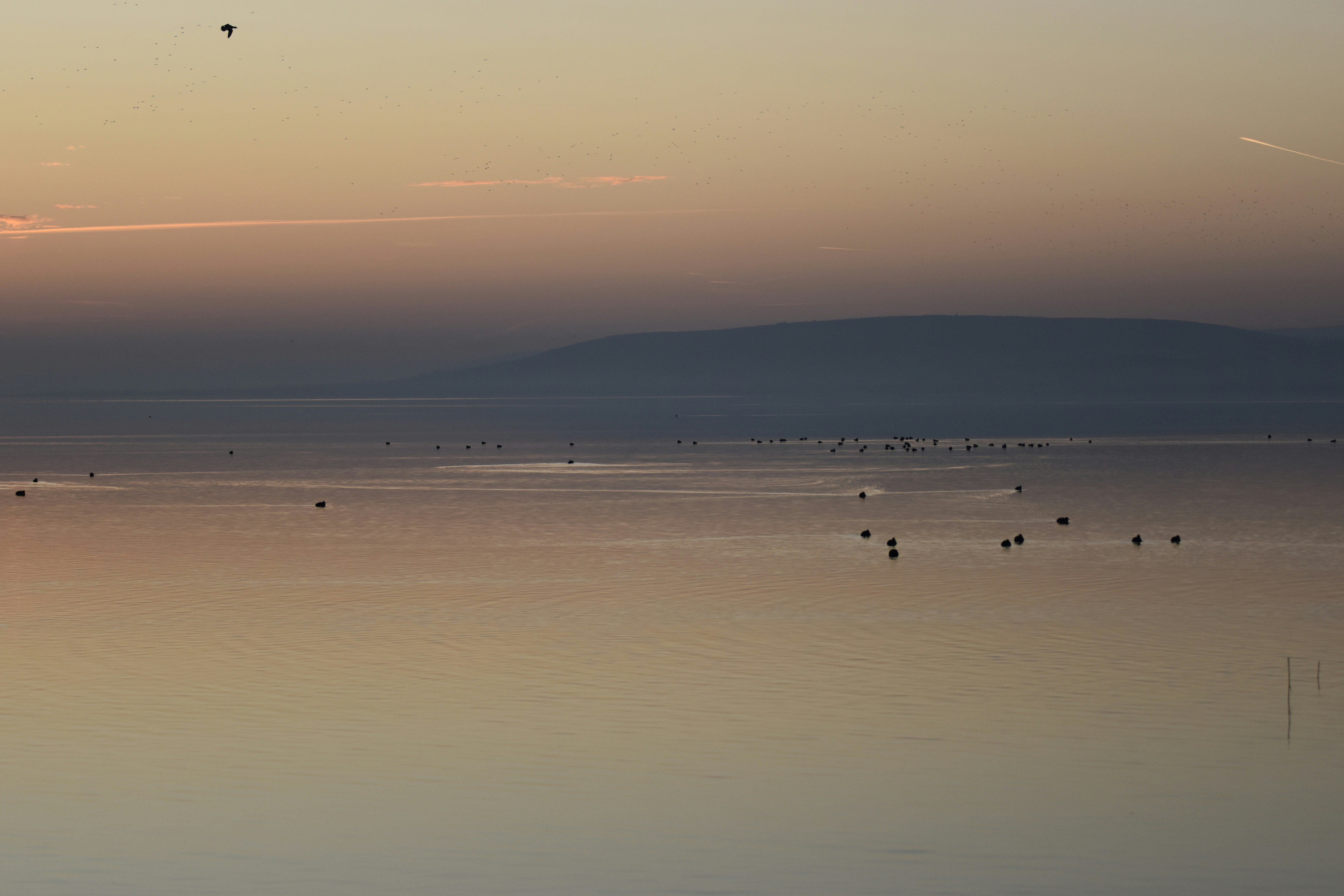 Photo by znphotogarphy