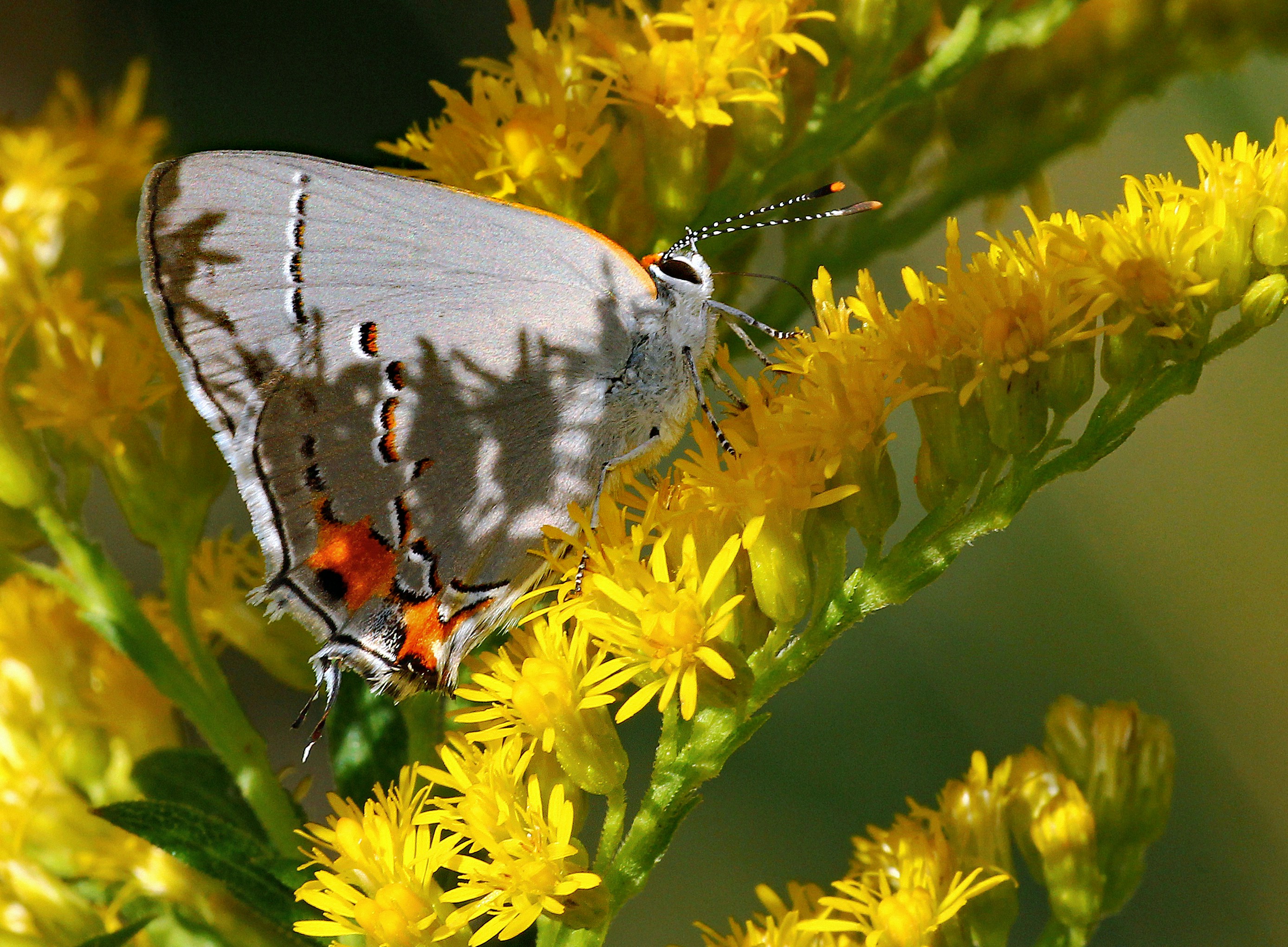 Photo by telliottmbamsc