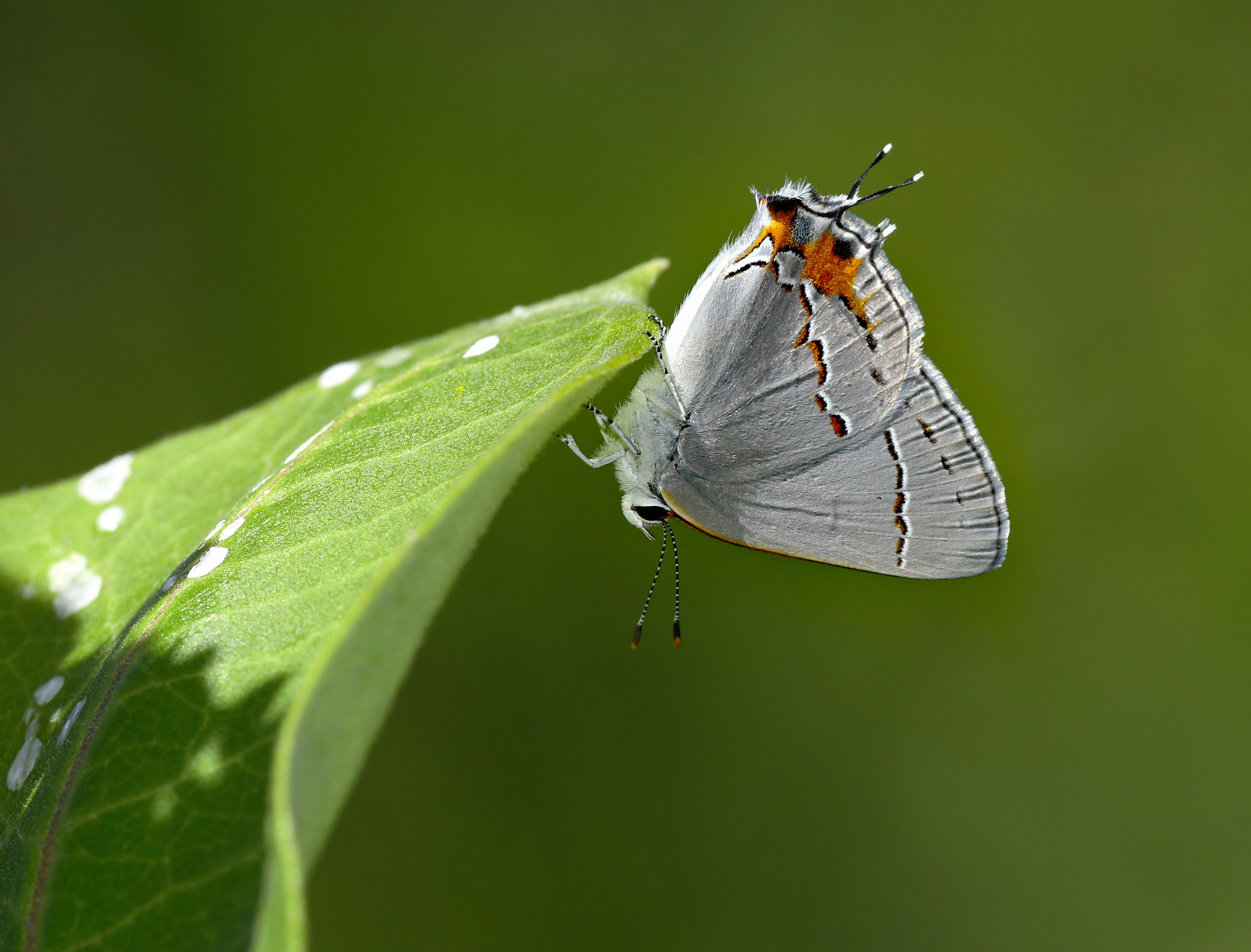 Photo by telliottmbamsc