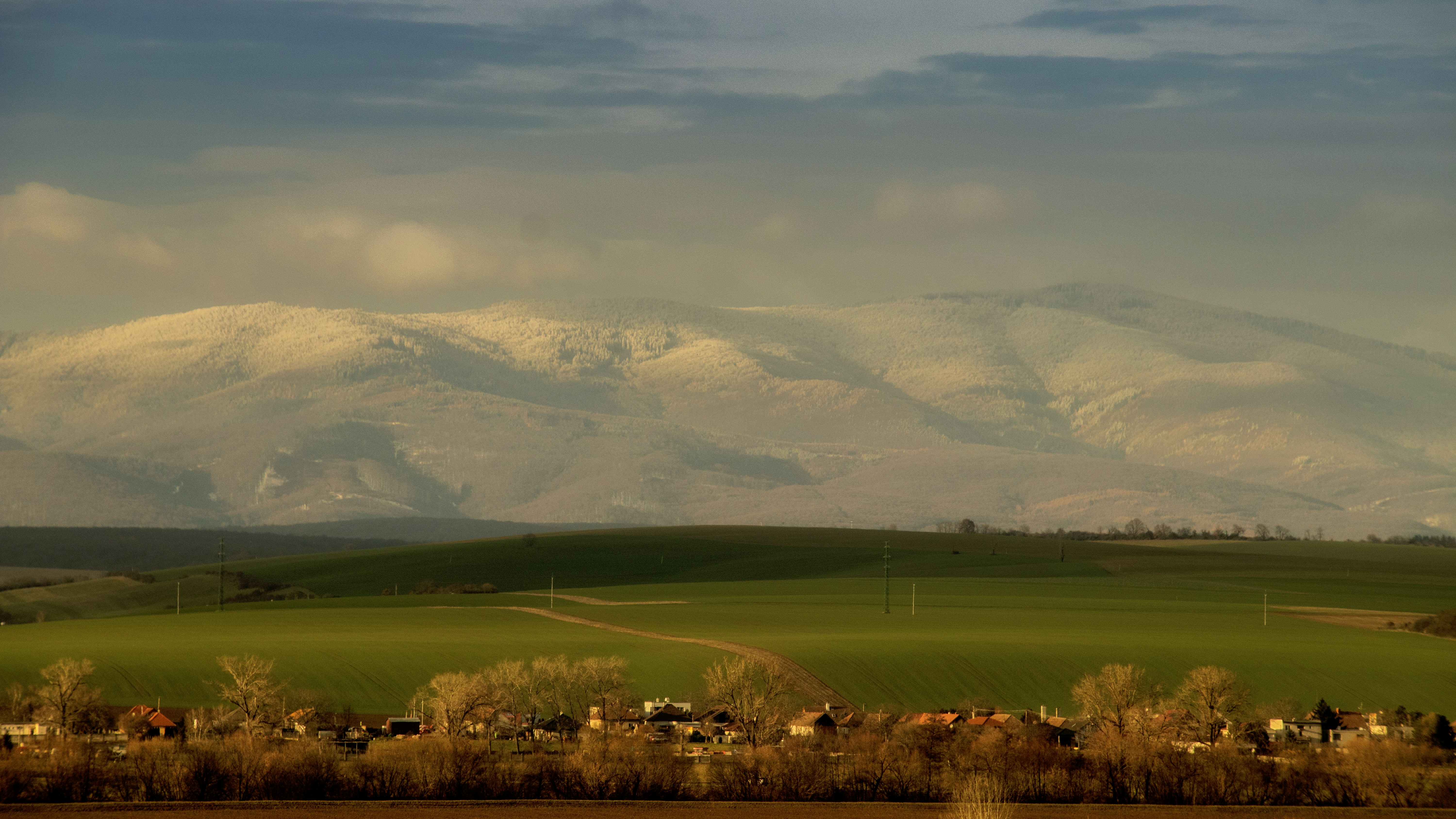 Snow-capped mountains tower above a green field.