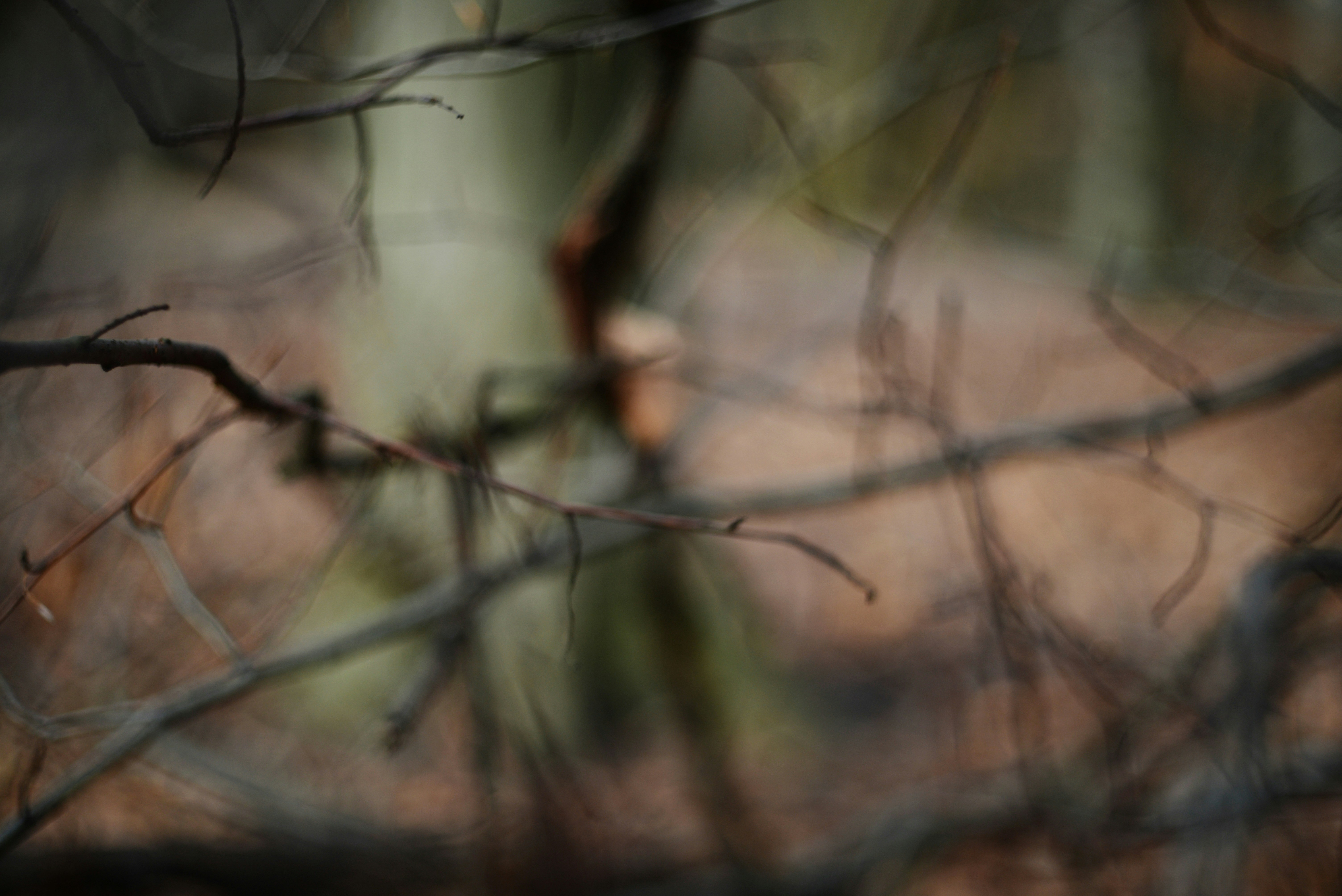 Photo by cherstve_pechivo