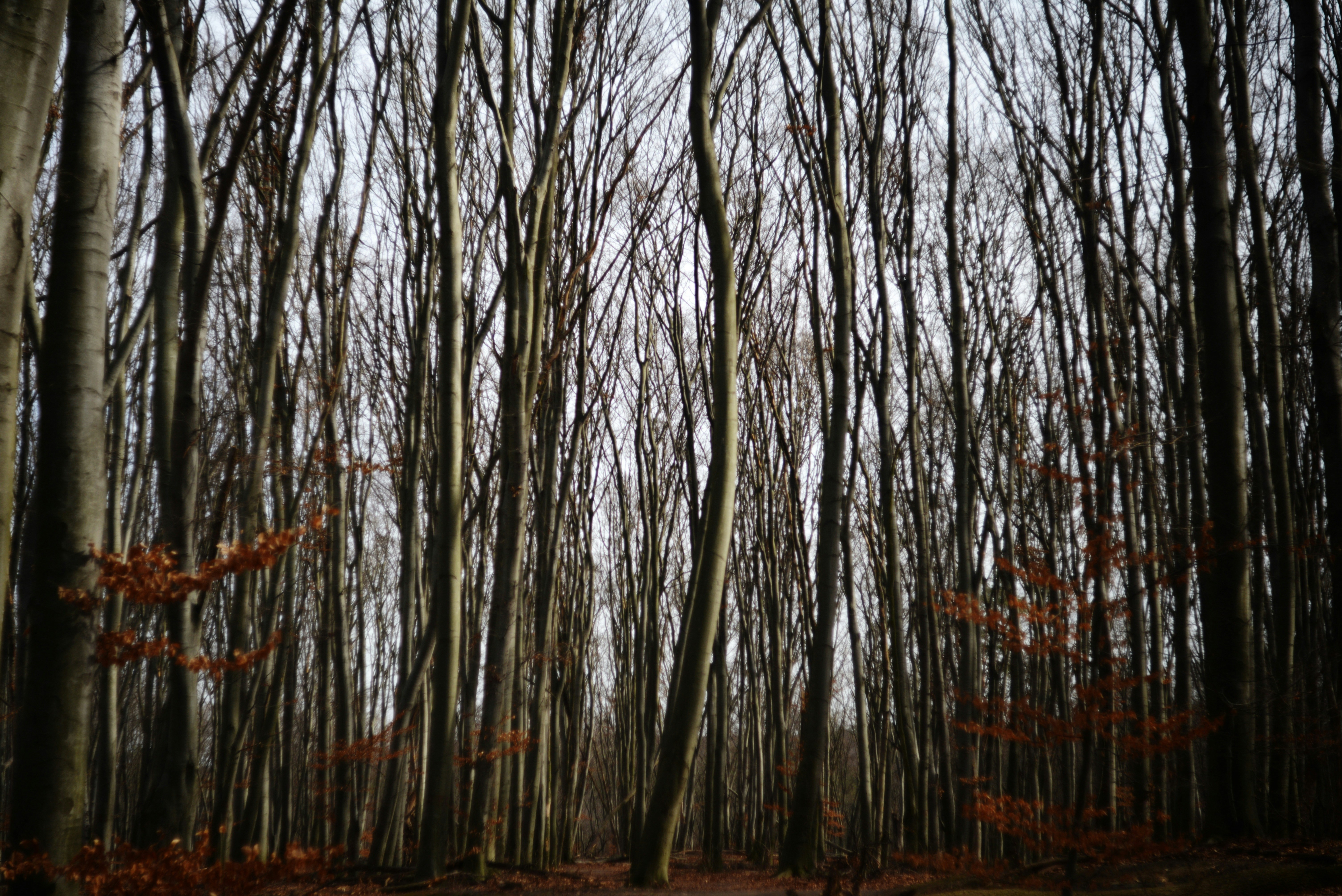 Photo by cherstve_pechivo