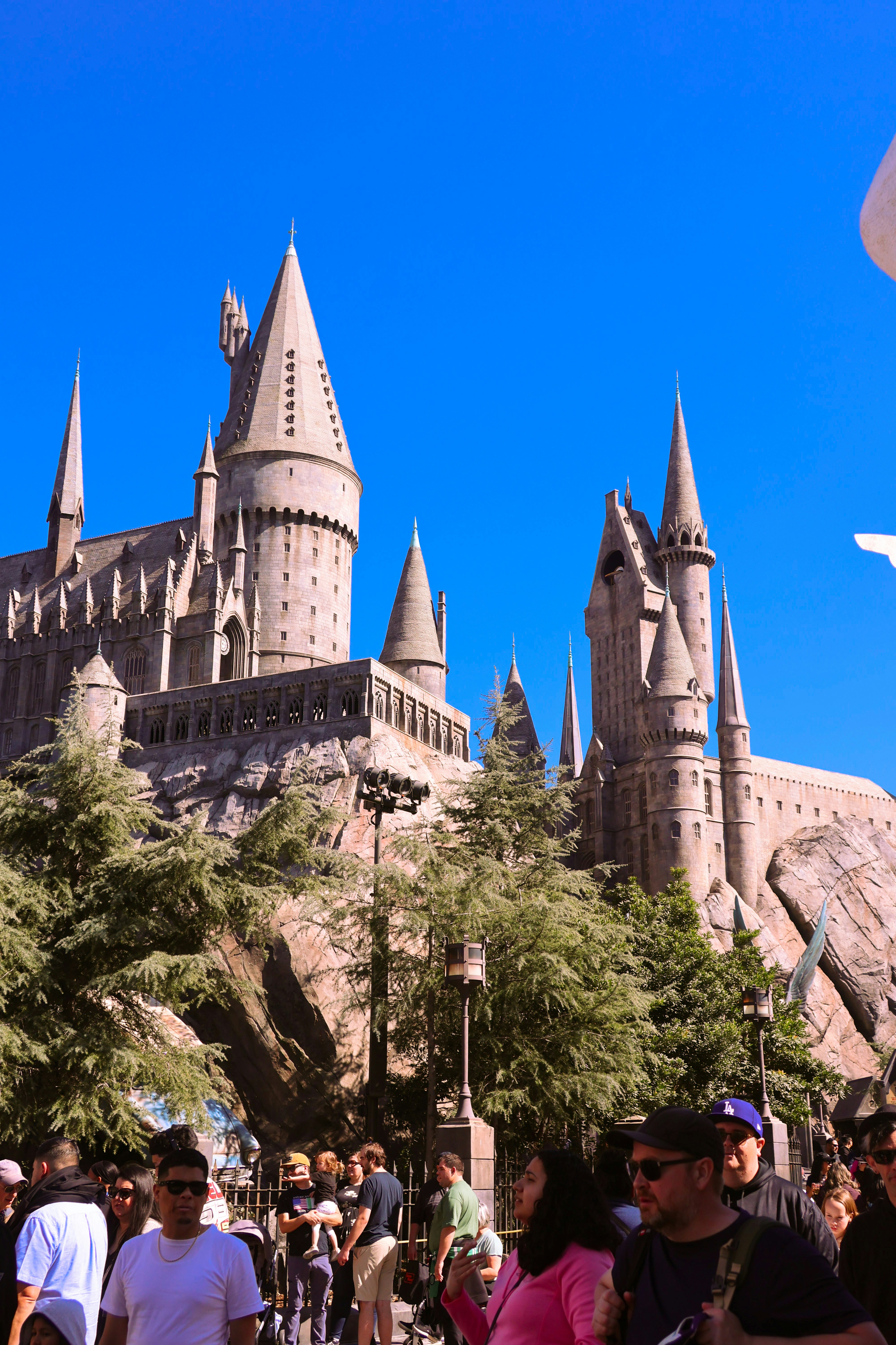 Hogwarts castle towers over a crowd.