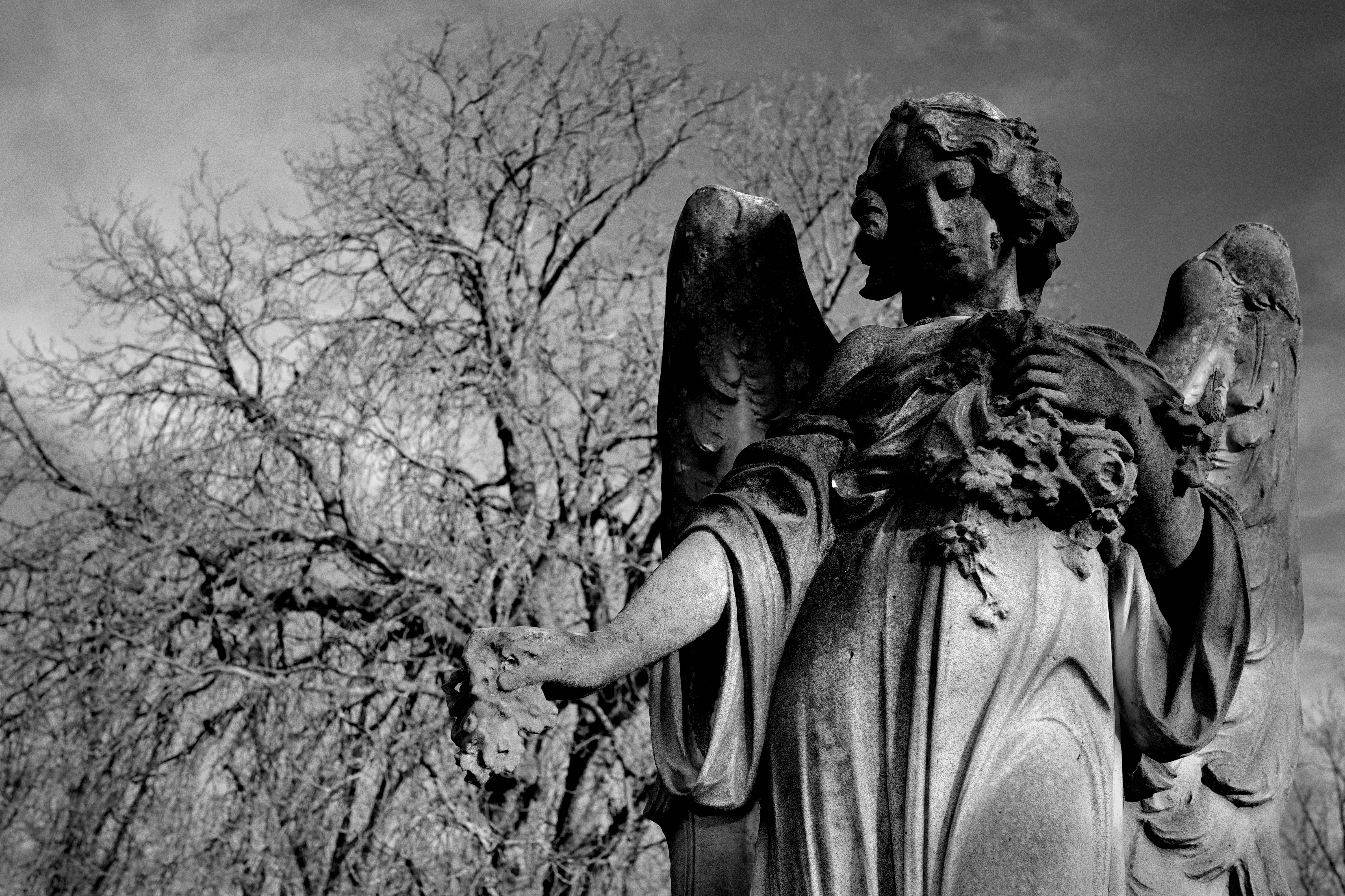 Photo by tomasrobertson